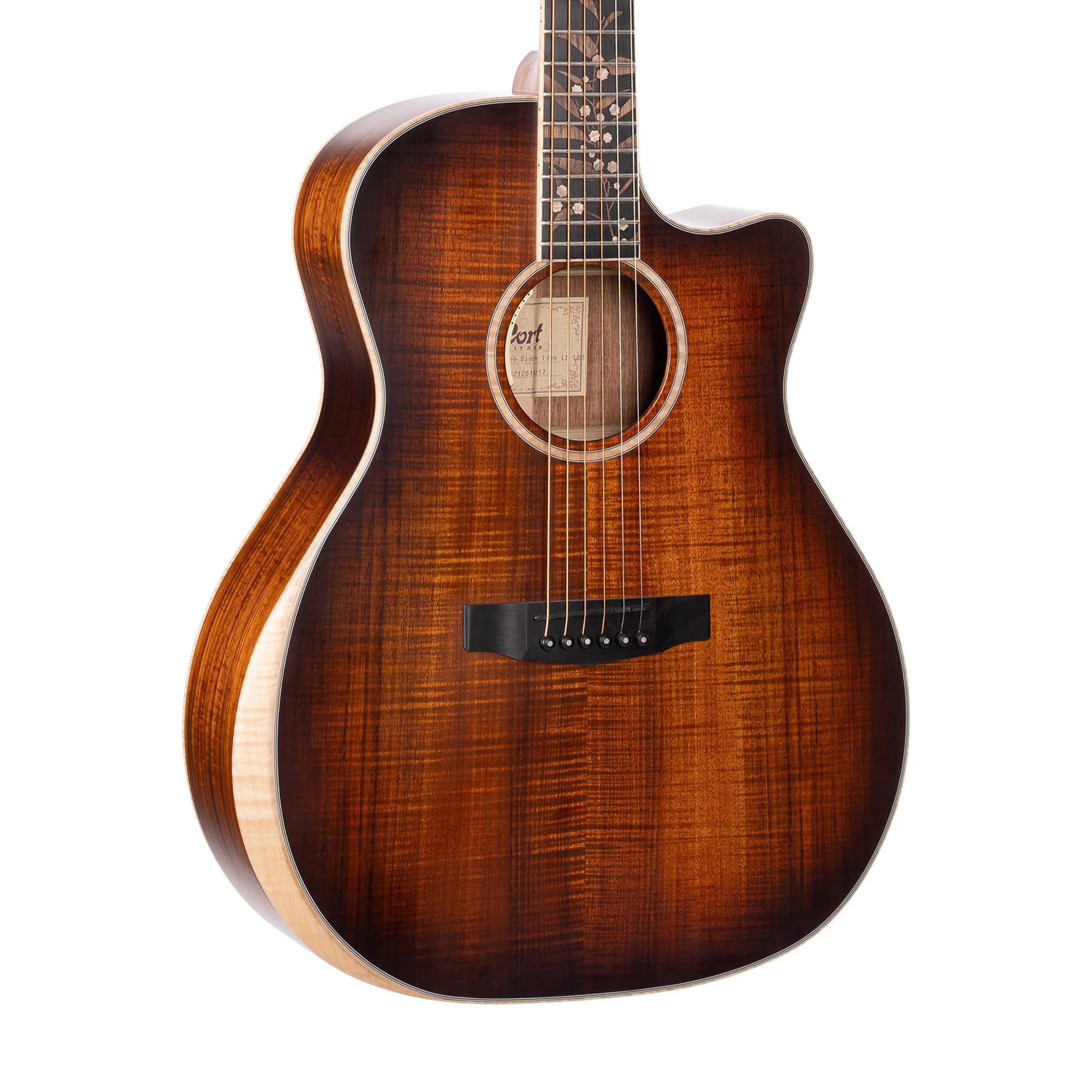 Đàn Guitar Acoustic Cort The Black Tree Limited Edition, Light Burst Satin - Việt Music