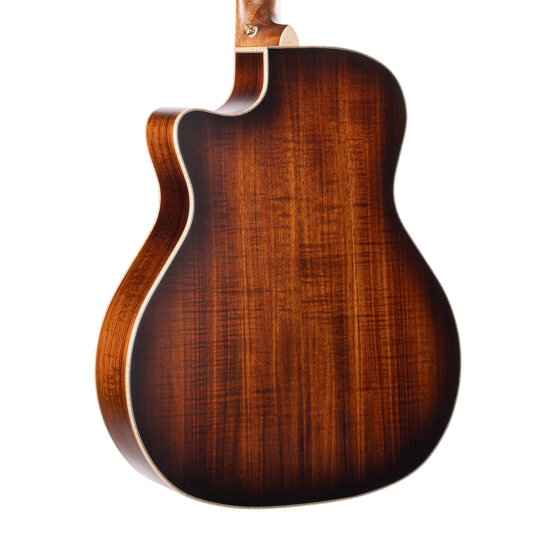 Đàn Guitar Acoustic Cort The Black Tree Limited Edition, Light Burst Satin - Việt Music