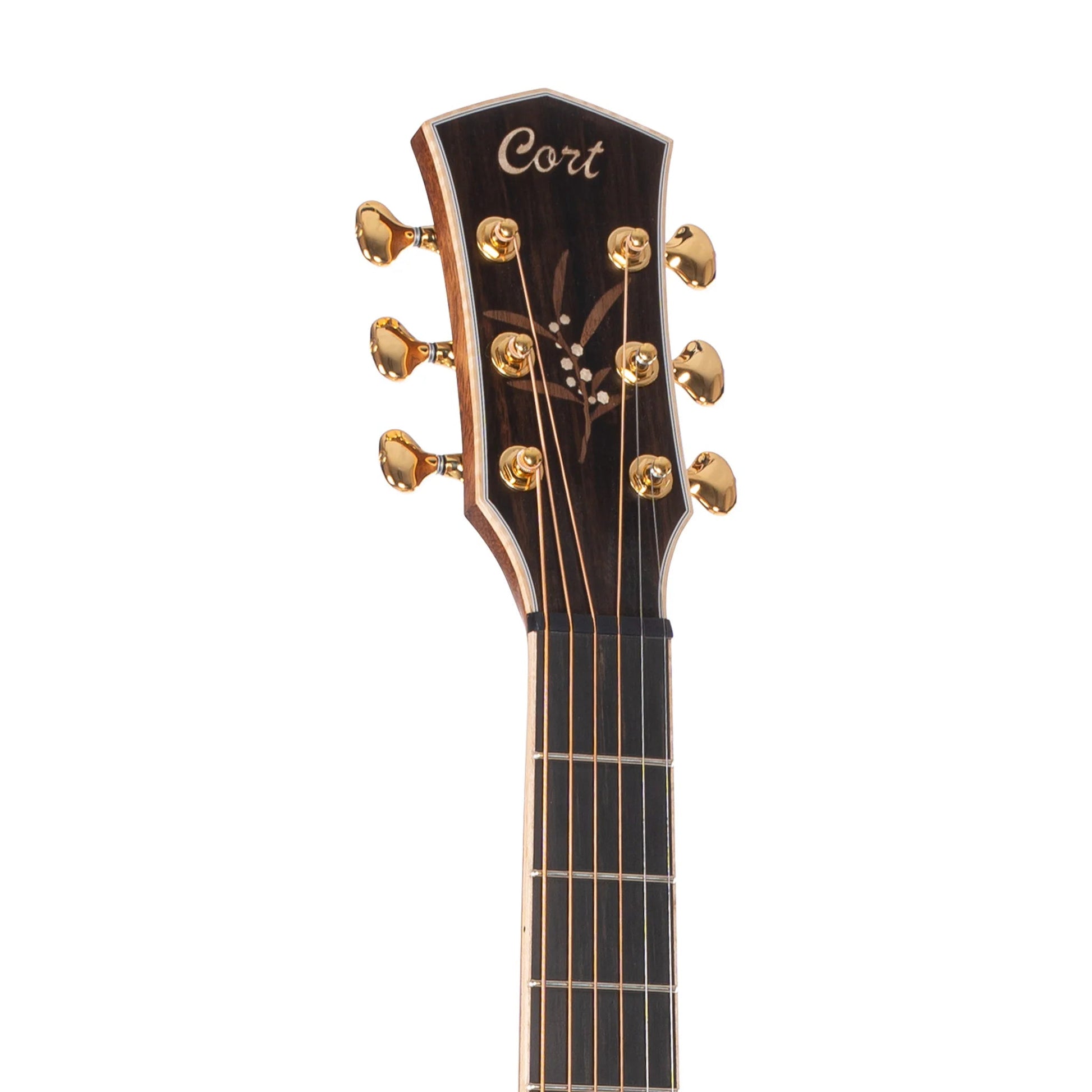 Đàn Guitar Acoustic Cort The Black Tree Limited Edition, Light Burst Satin - Việt Music