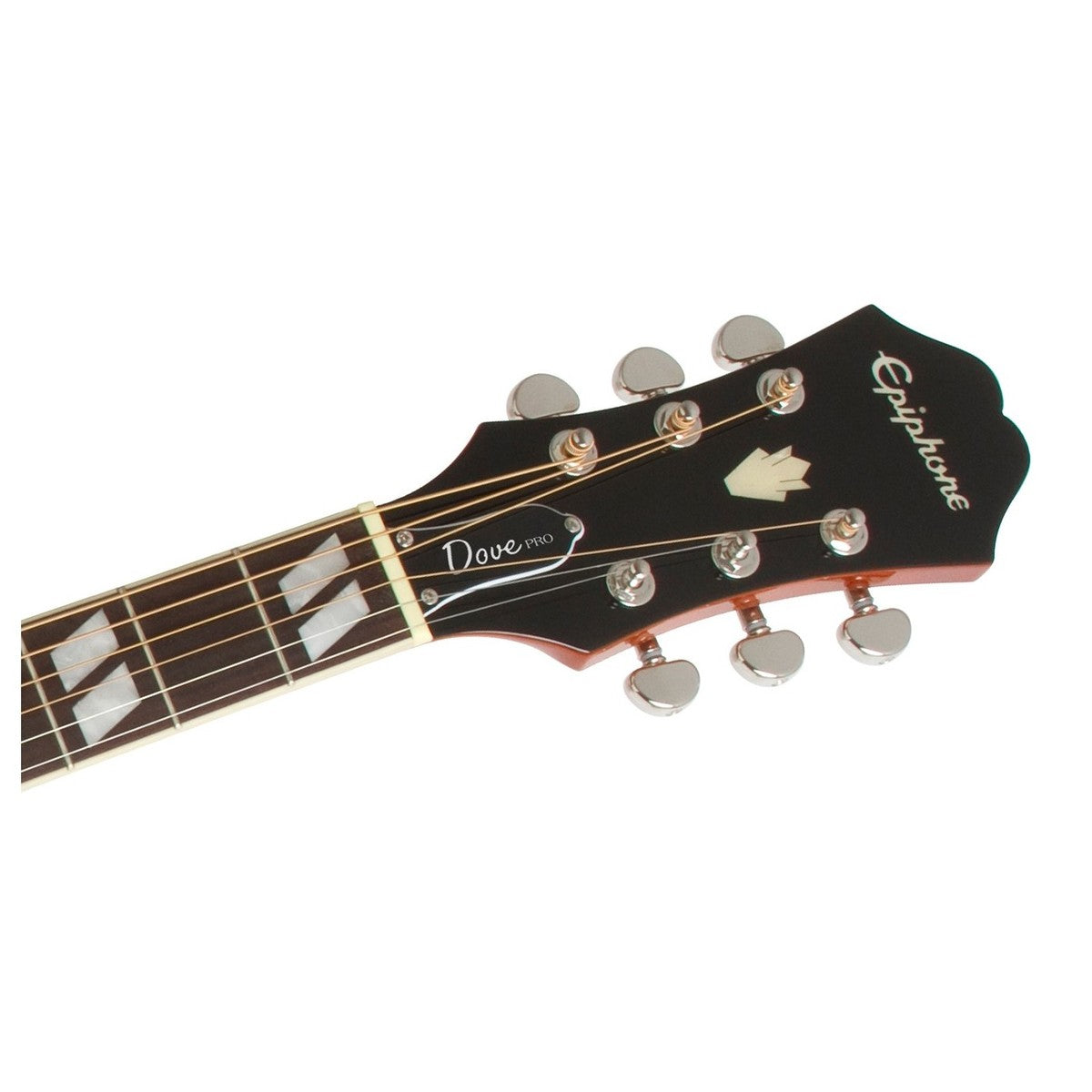 Đàn Guitar Epiphone Dove Studio (Dove Pro) Acoustic - Việt Music