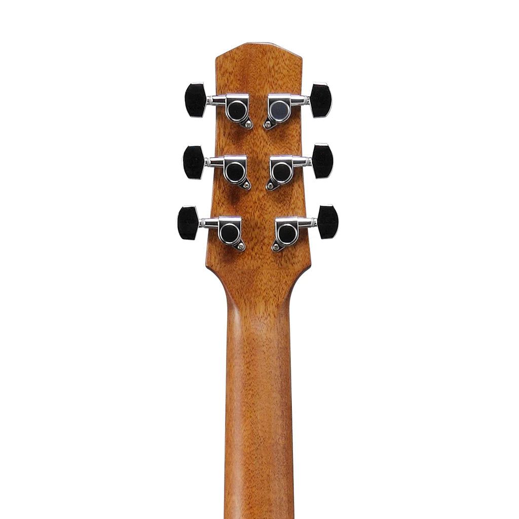 Đàn Guitar Acoustic Ibanez AAD50 - Việt Music