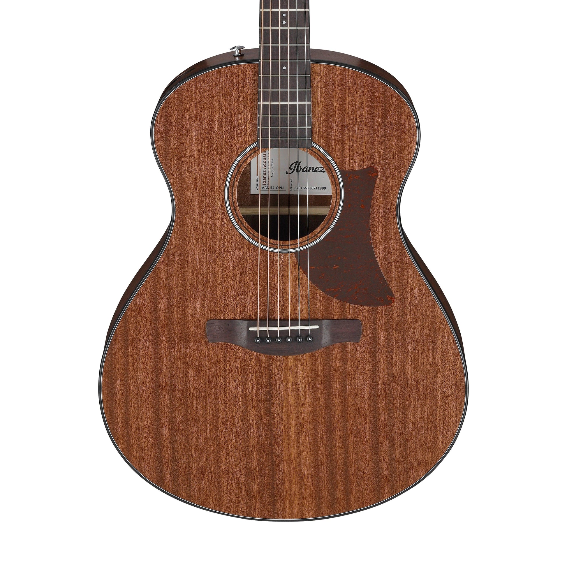 Đàn Guitar Acoustic Ibanez AAM54 Open Pore Natural - Việt Music