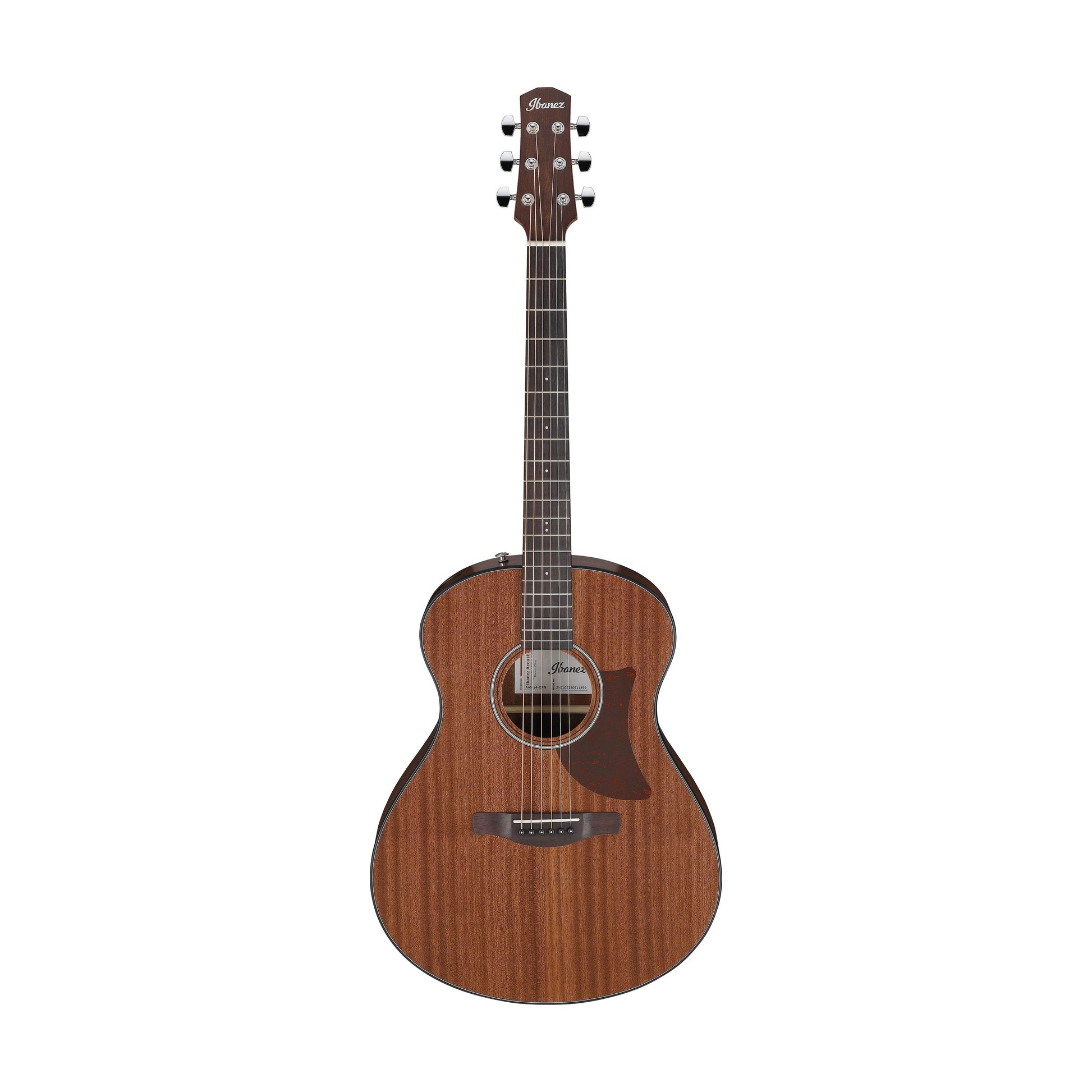 Đàn Guitar Acoustic Ibanez AAM54 Open Pore Natural - Việt Music