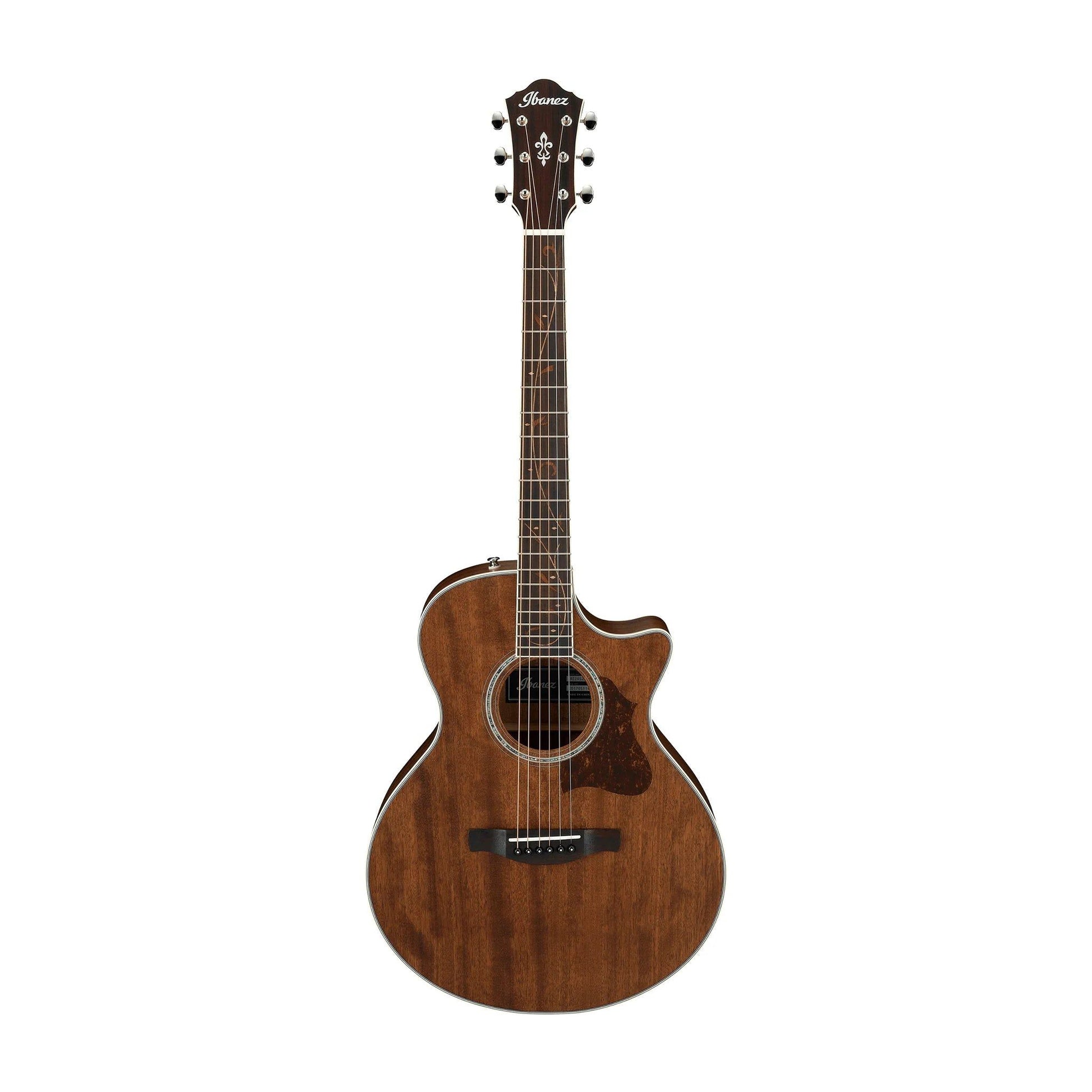 Đàn Guitar Acoustic Ibanez AE245JR Open Pore Natural - Việt Music