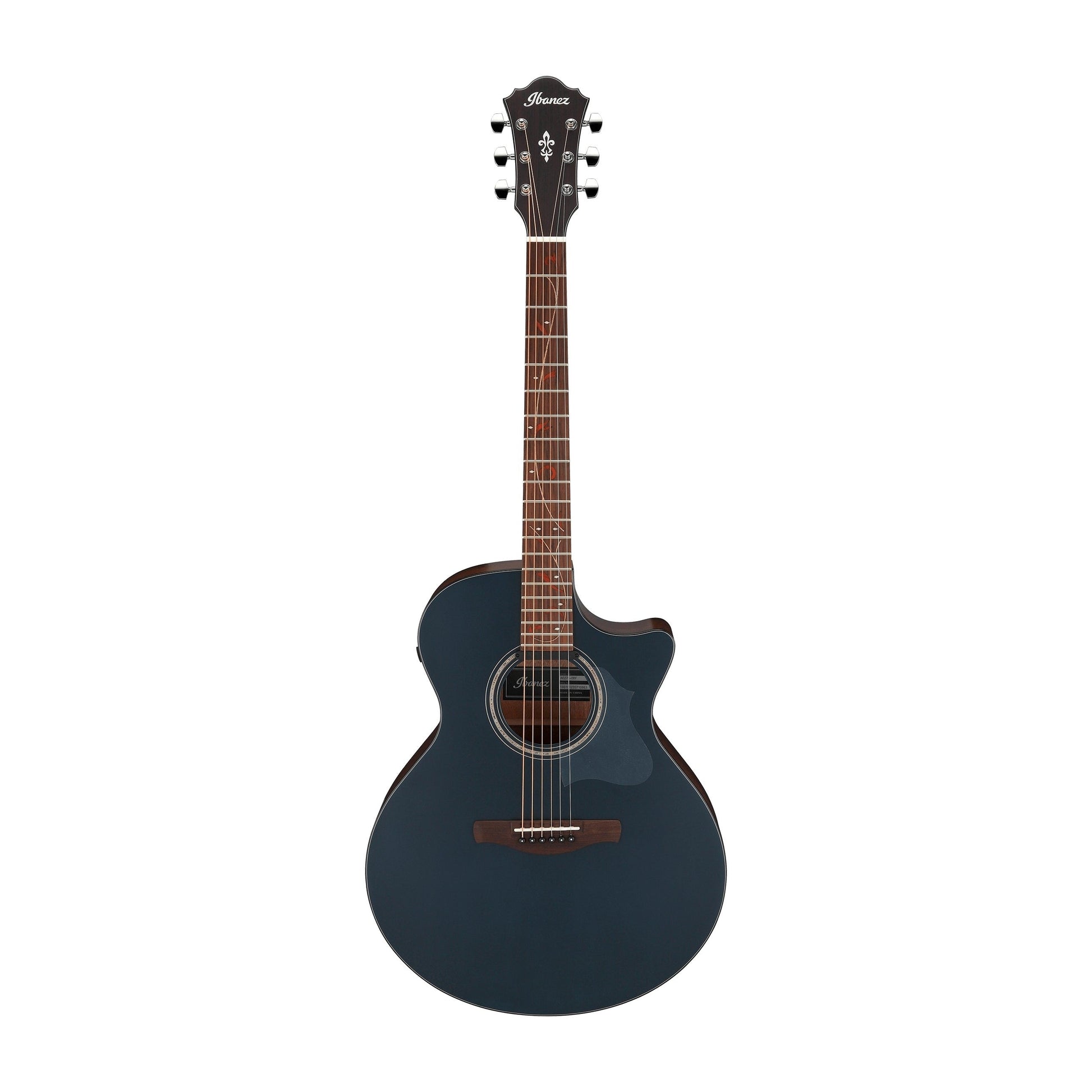 Đàn Guitar Acoustic Ibanez AE275 - Việt Music