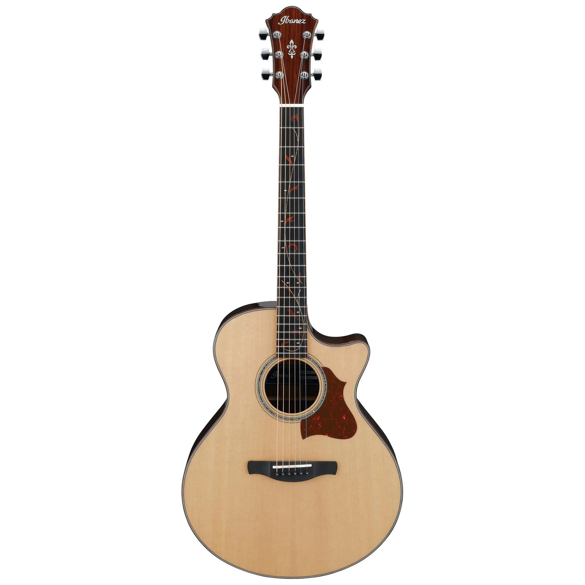 Đàn Guitar Acoustic Ibanez AE315 Ziricote Natural - Việt Music