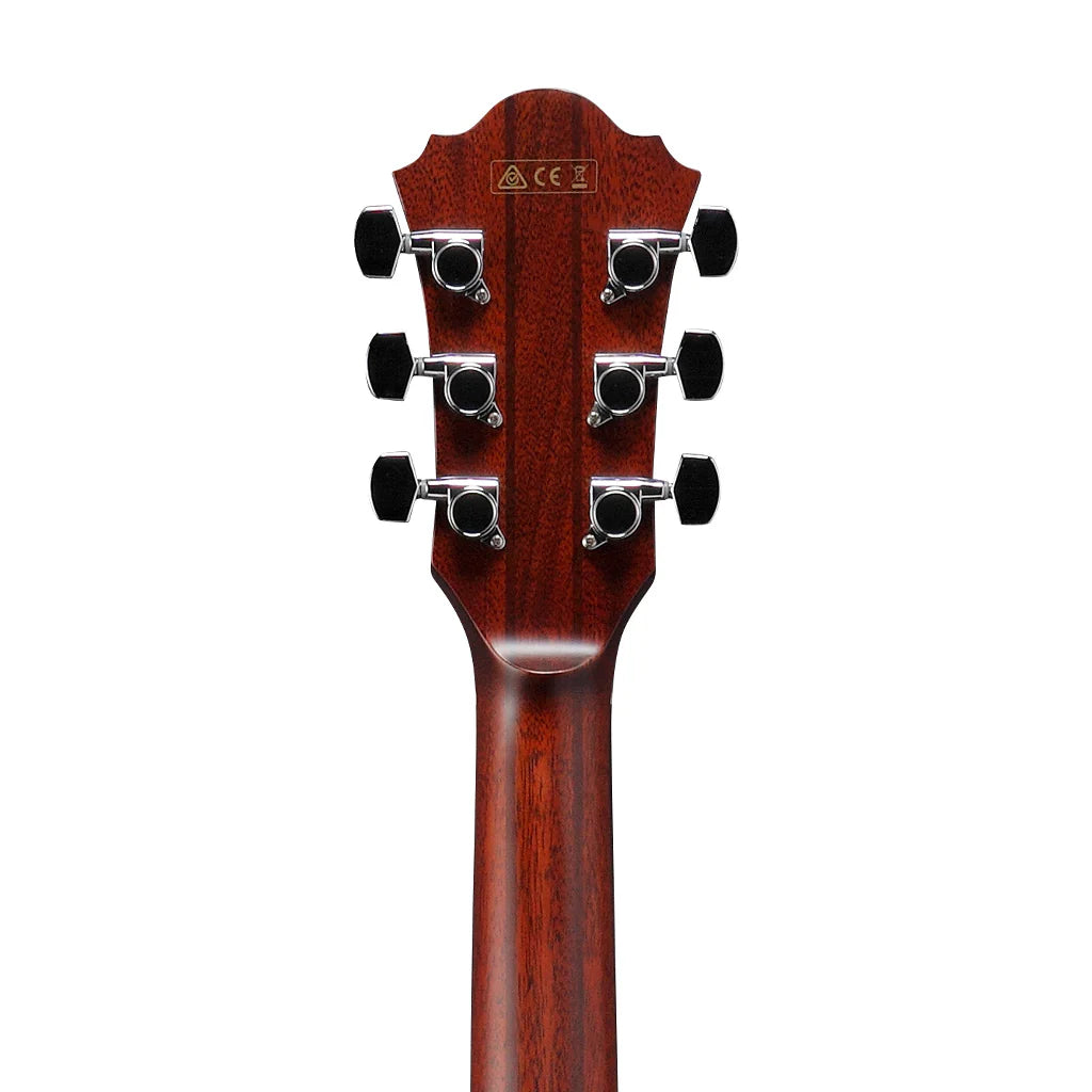 Đàn Guitar Acoustic Ibanez AE410 Natural High Gloss - Việt Music