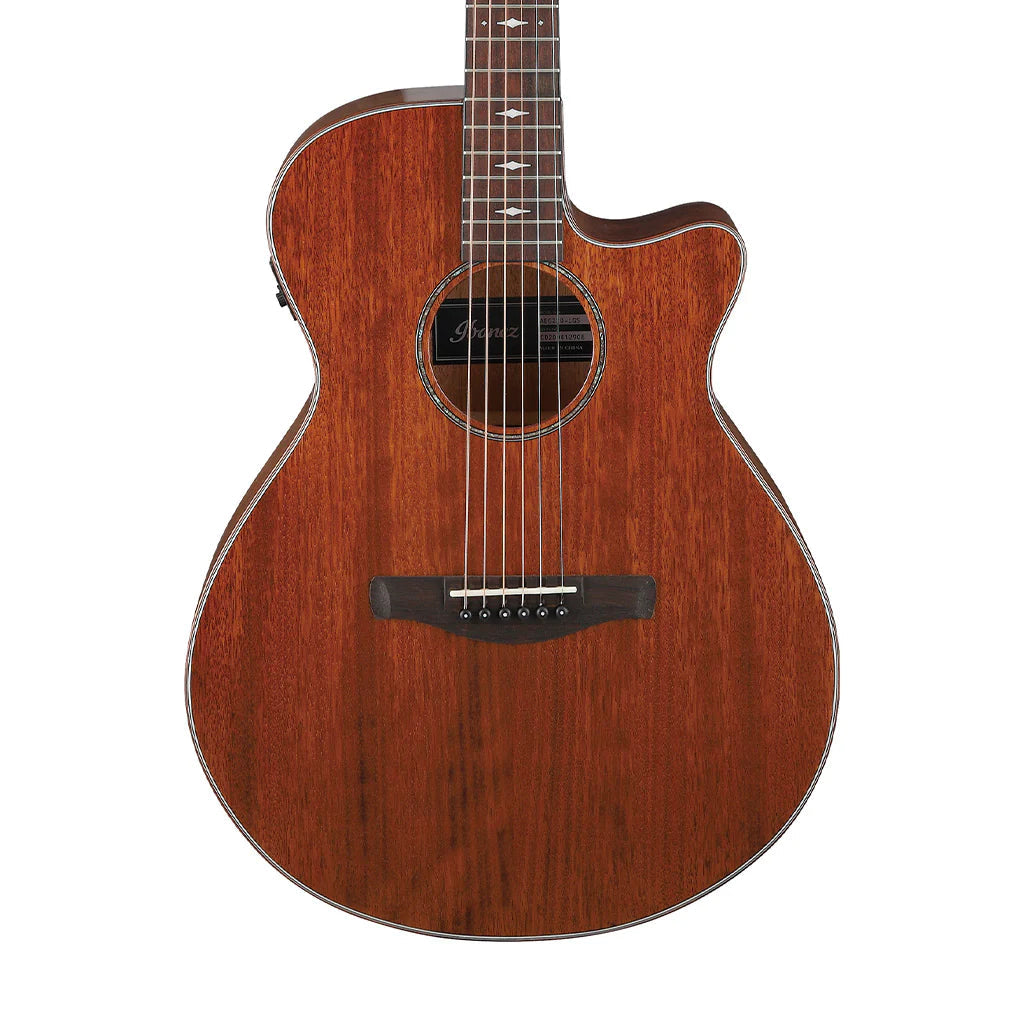 Đàn Guitar Acoustic Ibanez AEG220, Natural Low Gloss - Việt Music