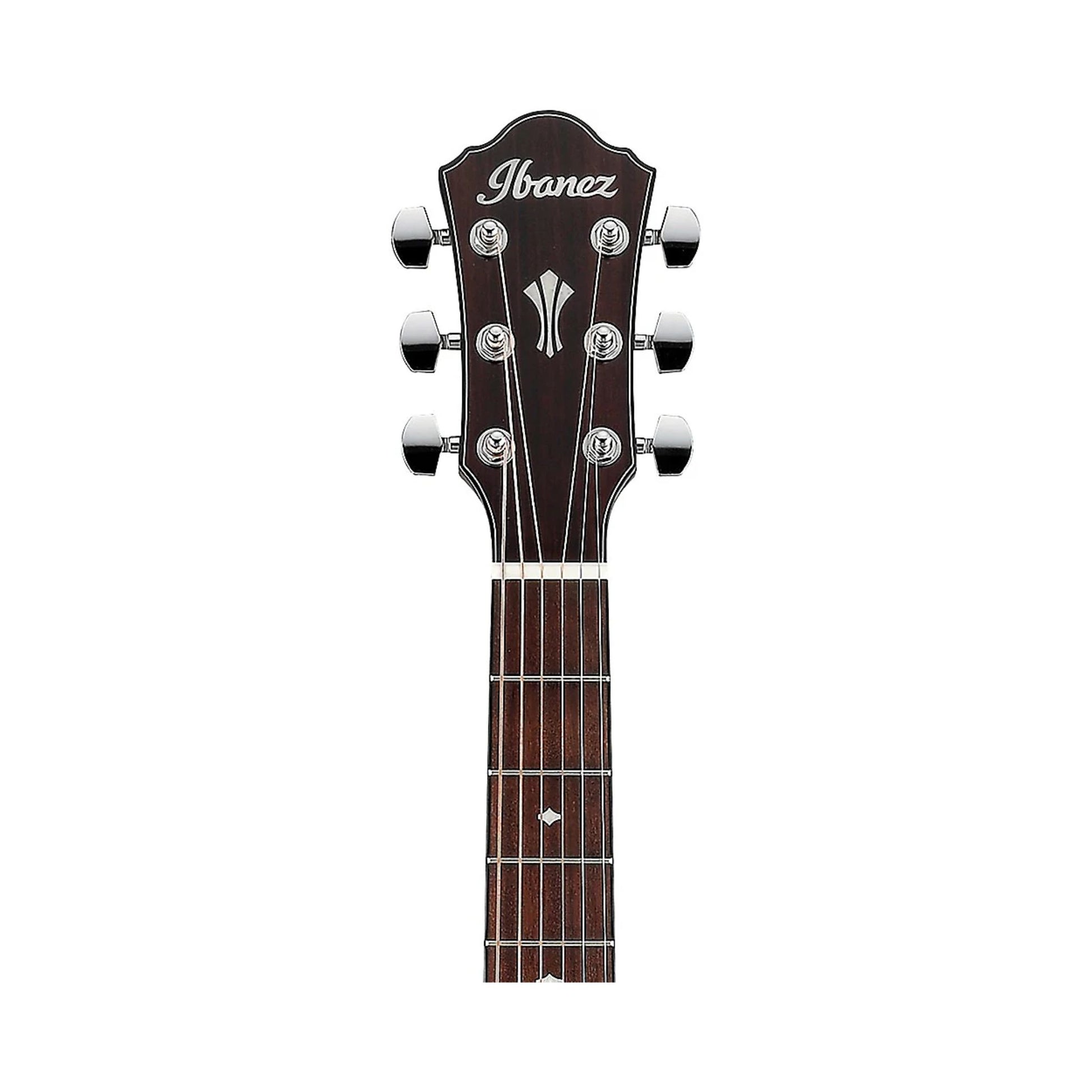 Đàn Guitar Acoustic Ibanez AEG220, Natural Low Gloss - Việt Music