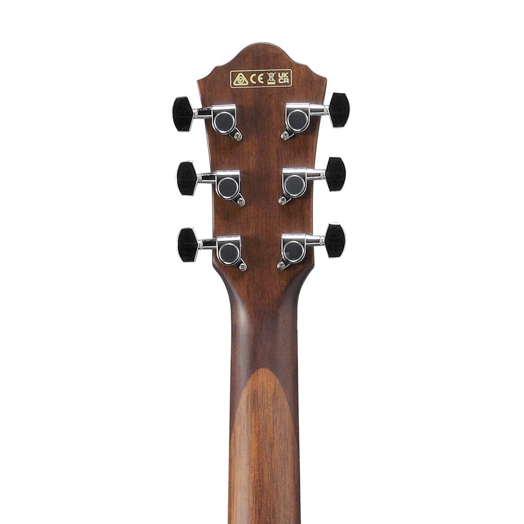 Đàn Guitar Acoustic Ibanez AEG61 Natural Mahogany High Gloss - Việt Music