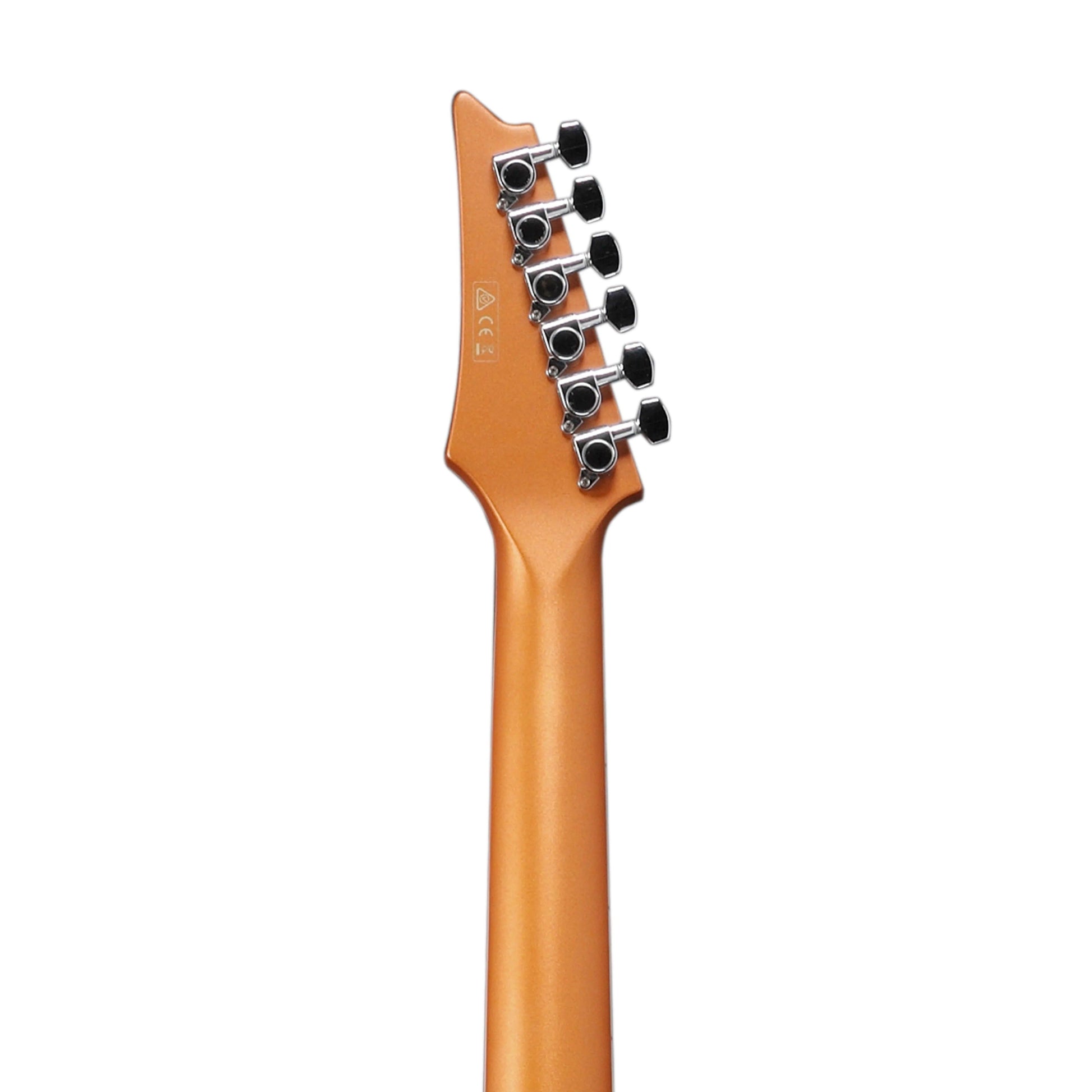 Đàn Guitar Acoustic Ibanez ALT30-Altstar Series - Việt Music