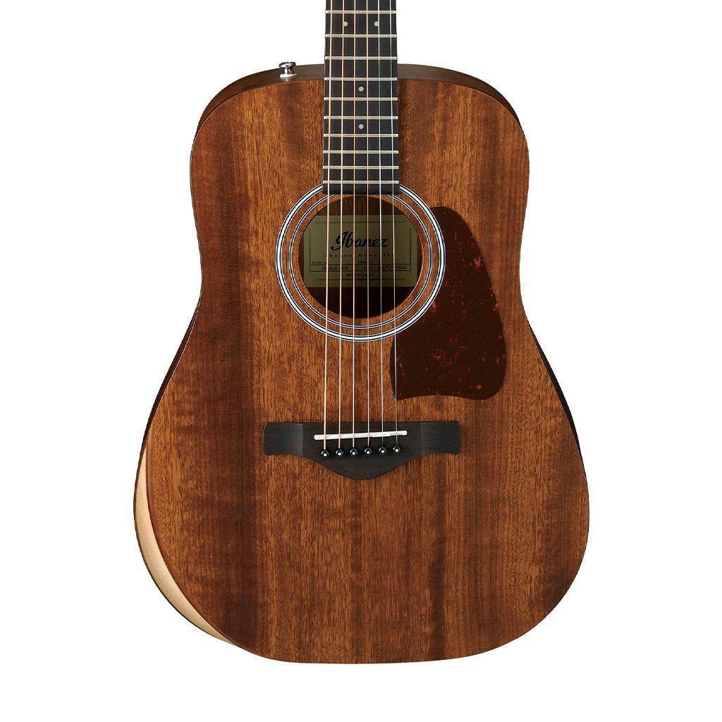 Đàn Guitar Acoustic Ibanez AW54JR Open Pore Natural - Việt Music