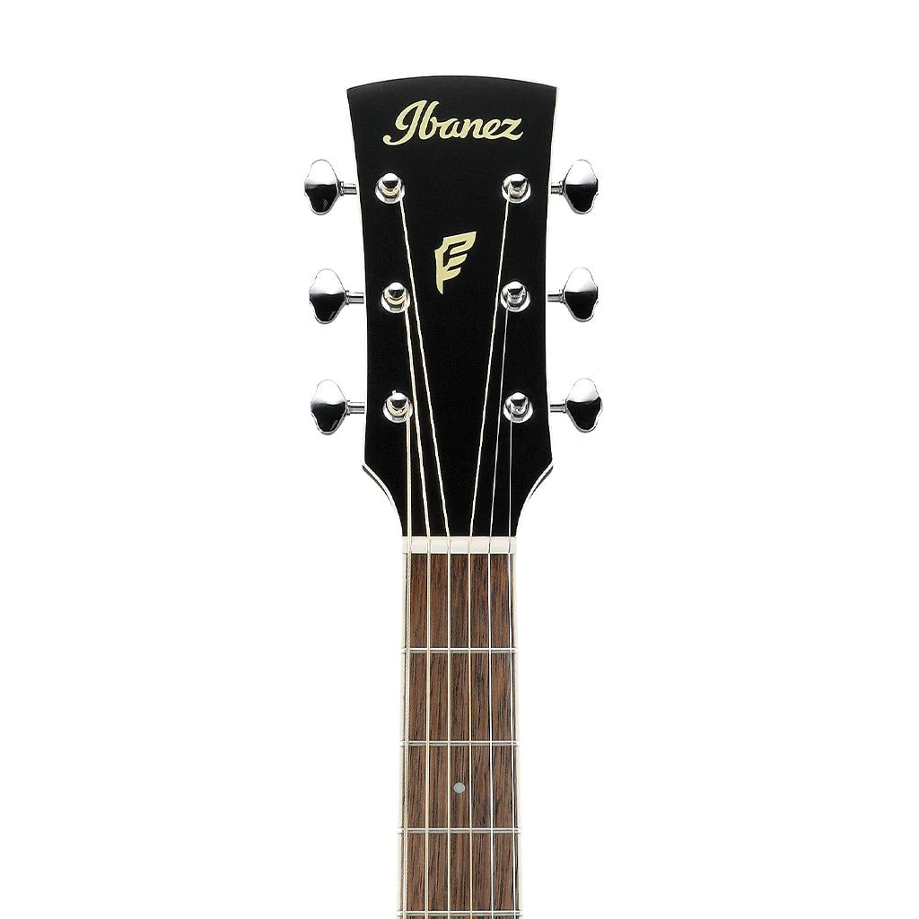 Đàn Guitar Acoustic Ibanez Performance PN14MHE, Laurel Fingerboard Weathered Black - Việt Music