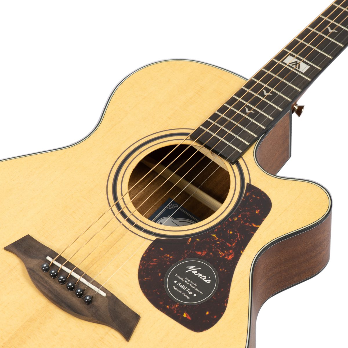 Đàn Guitar Acoustic Mantic GT-10AC - Việt Music