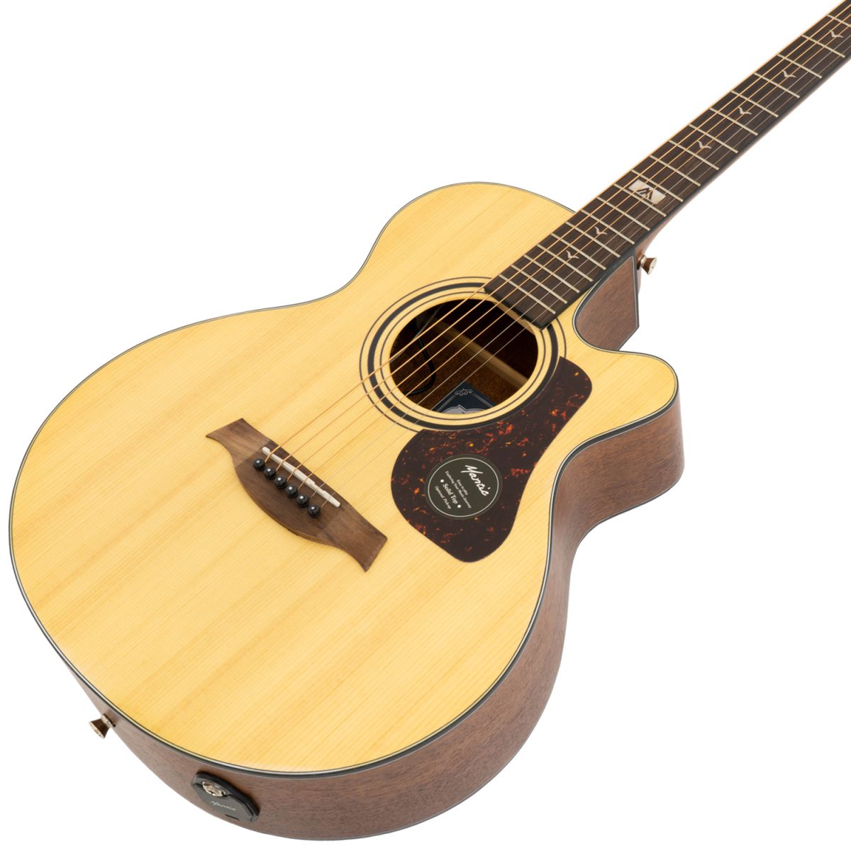 Đàn Guitar Acoustic Mantic GT-10ACE - Việt Music