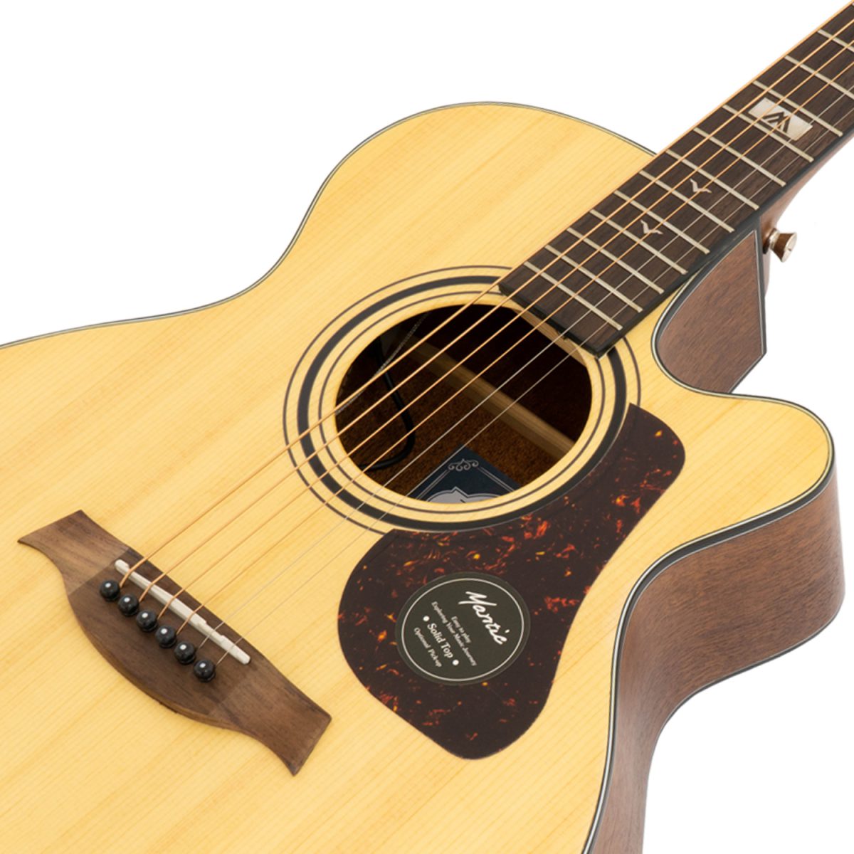 Đàn Guitar Acoustic Mantic GT-10ACE - Việt Music