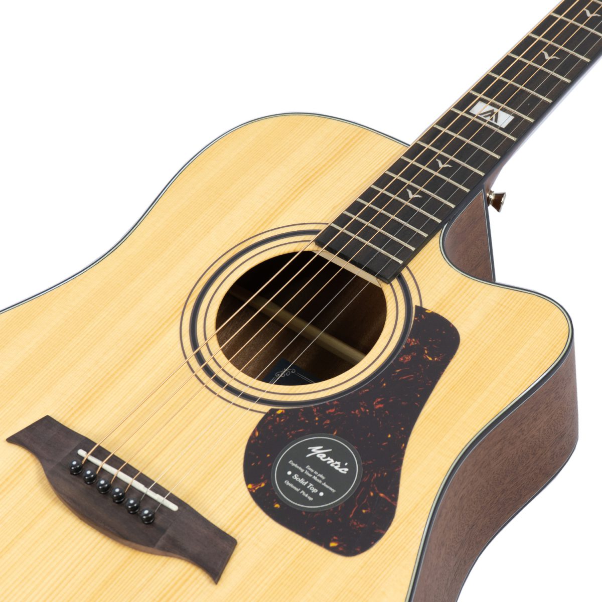 Đàn Guitar Acoustic Mantic GT-10DC - Việt Music