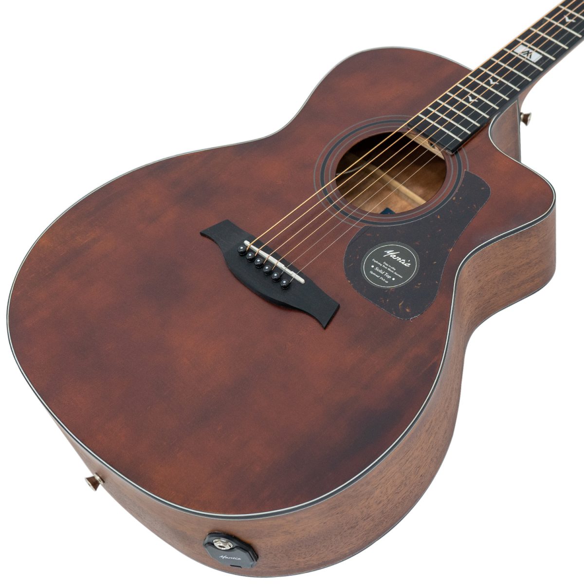 Đàn Guitar Acoustic Mantic GT-10GCE - Việt Music