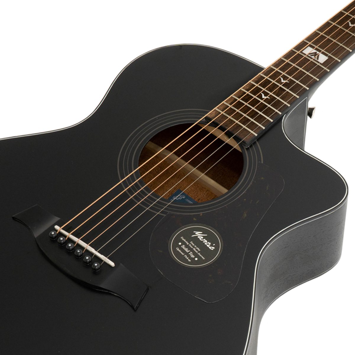 Đàn Guitar Acoustic Mantic GT-10GCE - Việt Music