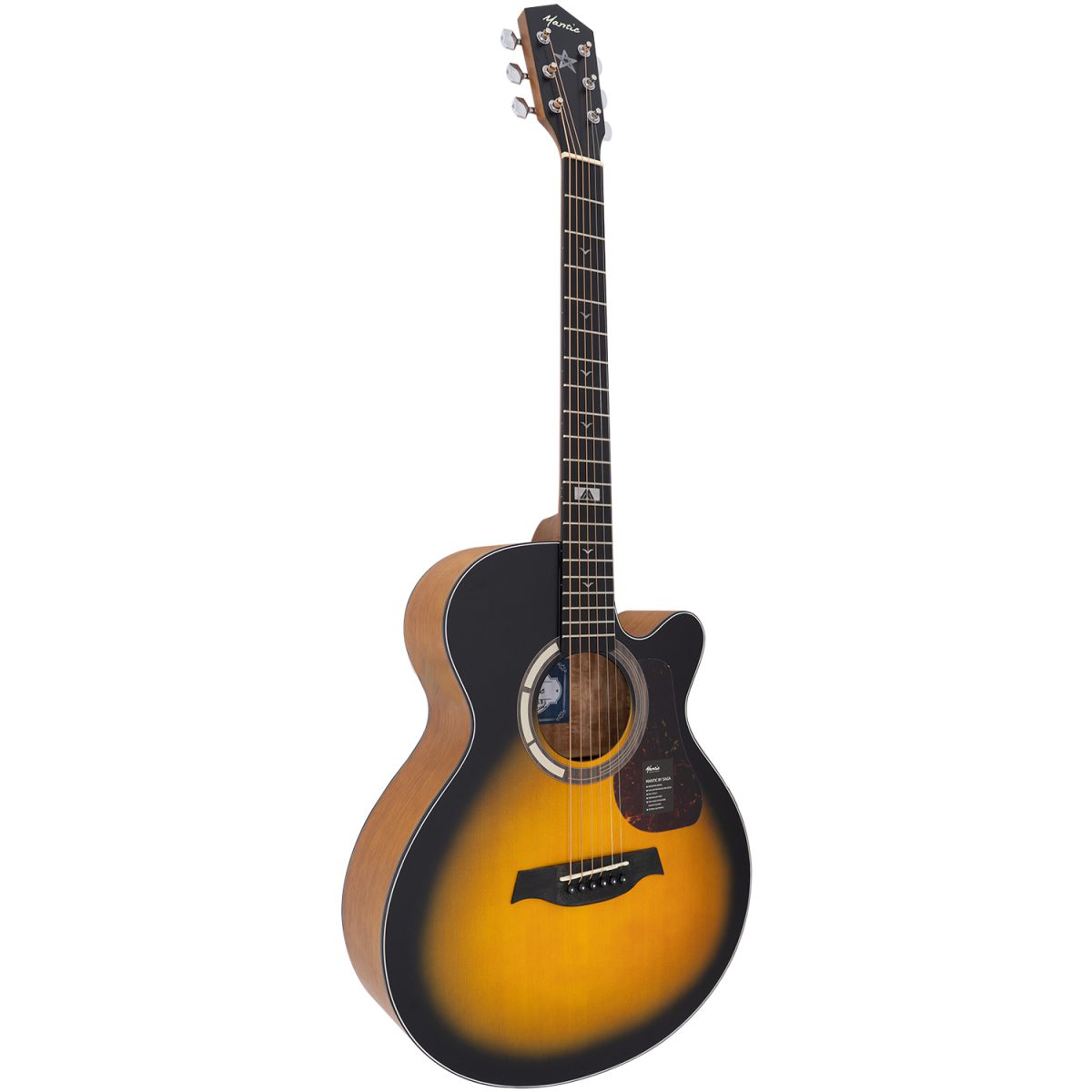 Đàn Guitar Acoustic Mantic GT-1AC - Việt Music