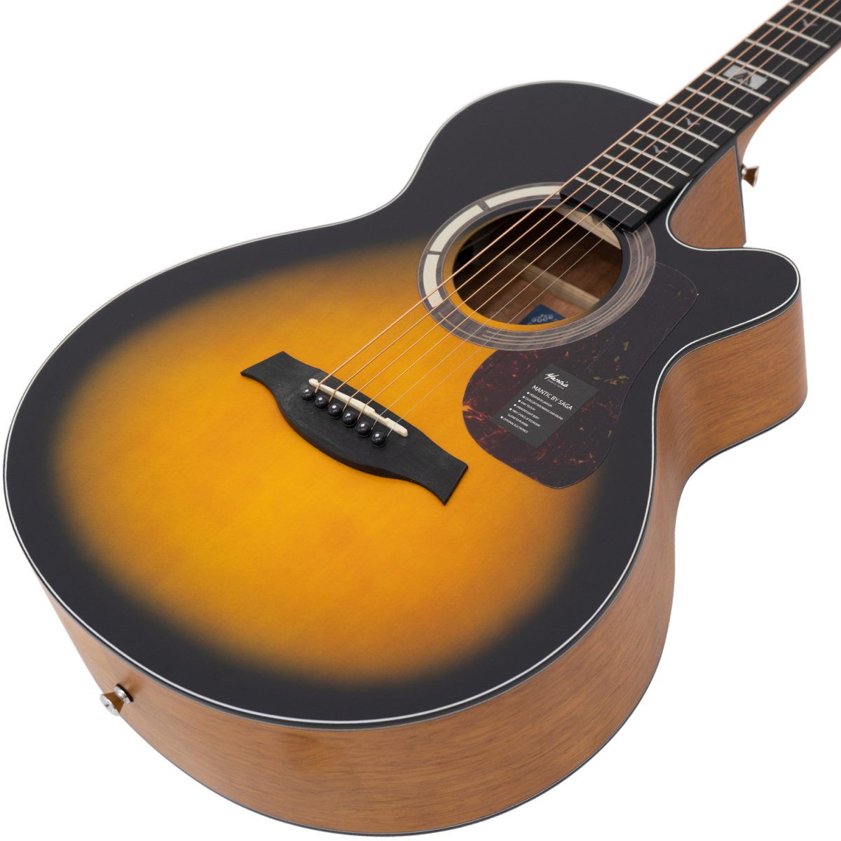 Đàn Guitar Acoustic Mantic GT-1AC - Việt Music