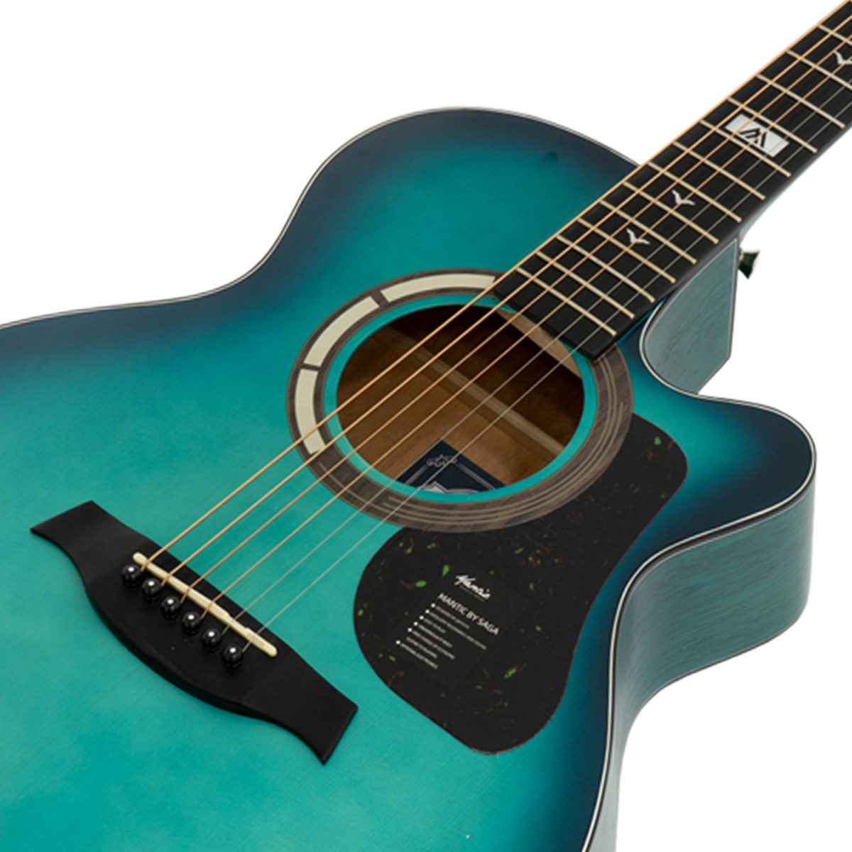 Đàn Guitar Acoustic Mantic GT-1AC - Việt Music