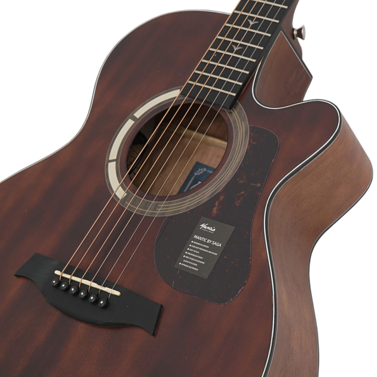 Đàn Guitar Acoustic Mantic GT-1ACE - Việt Music