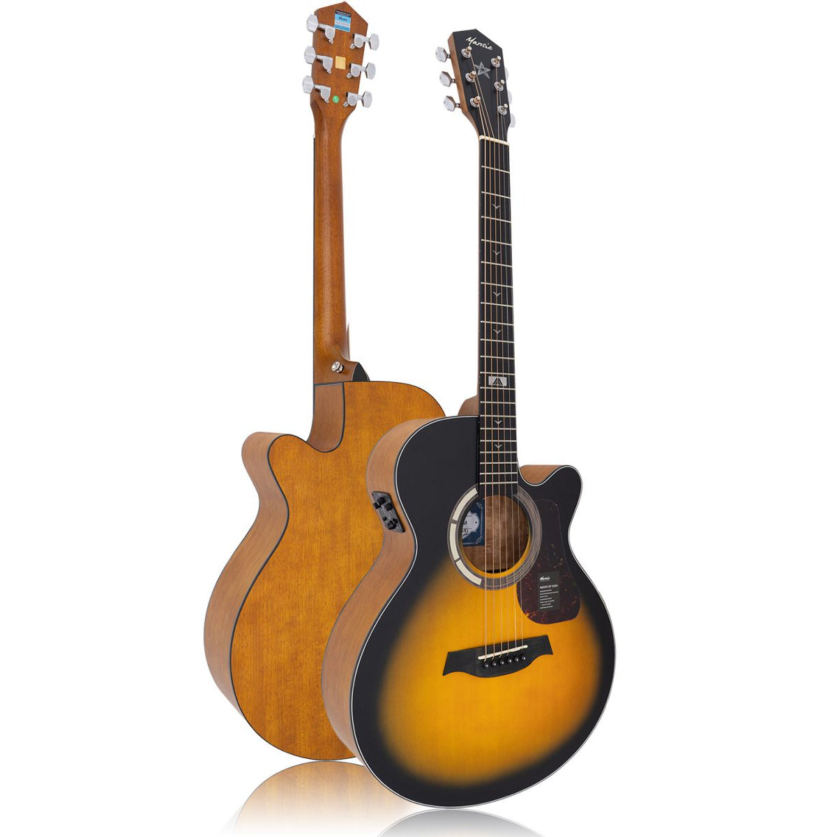 Đàn Guitar Acoustic Mantic GT-1ACE - Việt Music