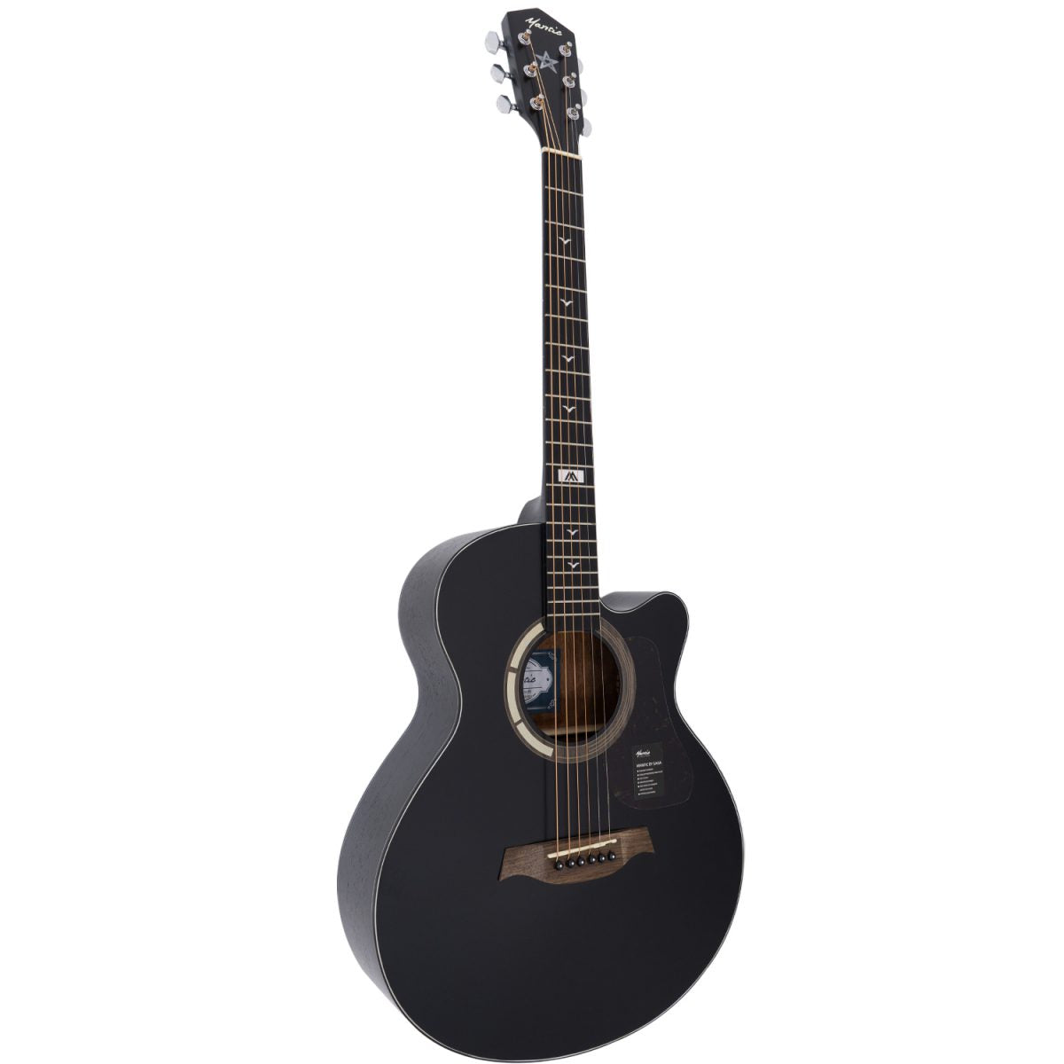 Đàn Guitar Acoustic Mantic GT-1ACE - Việt Music