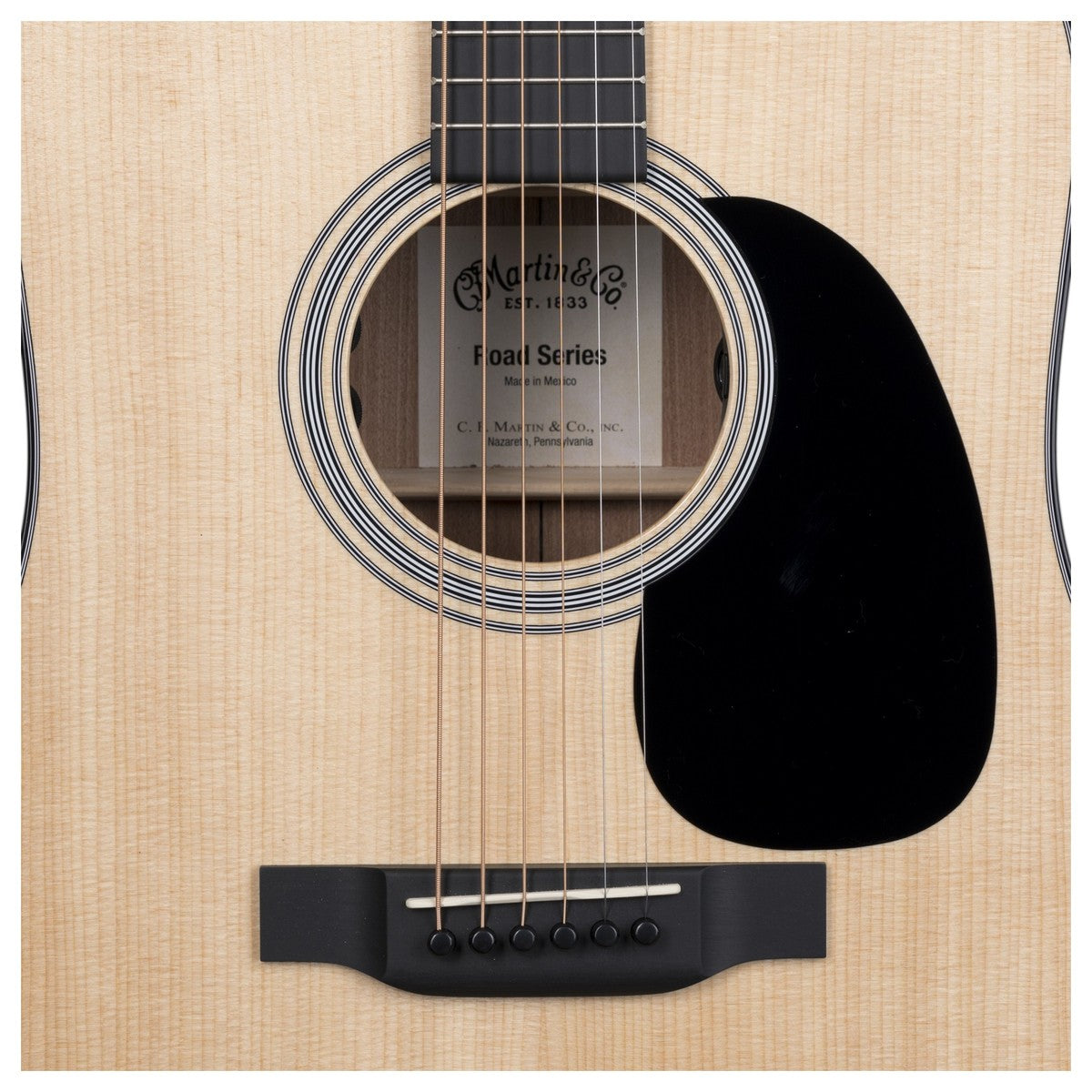 Đàn Guitar Martin Road Series D-12E Acoustic w/Fishman w/Case - Việt Music