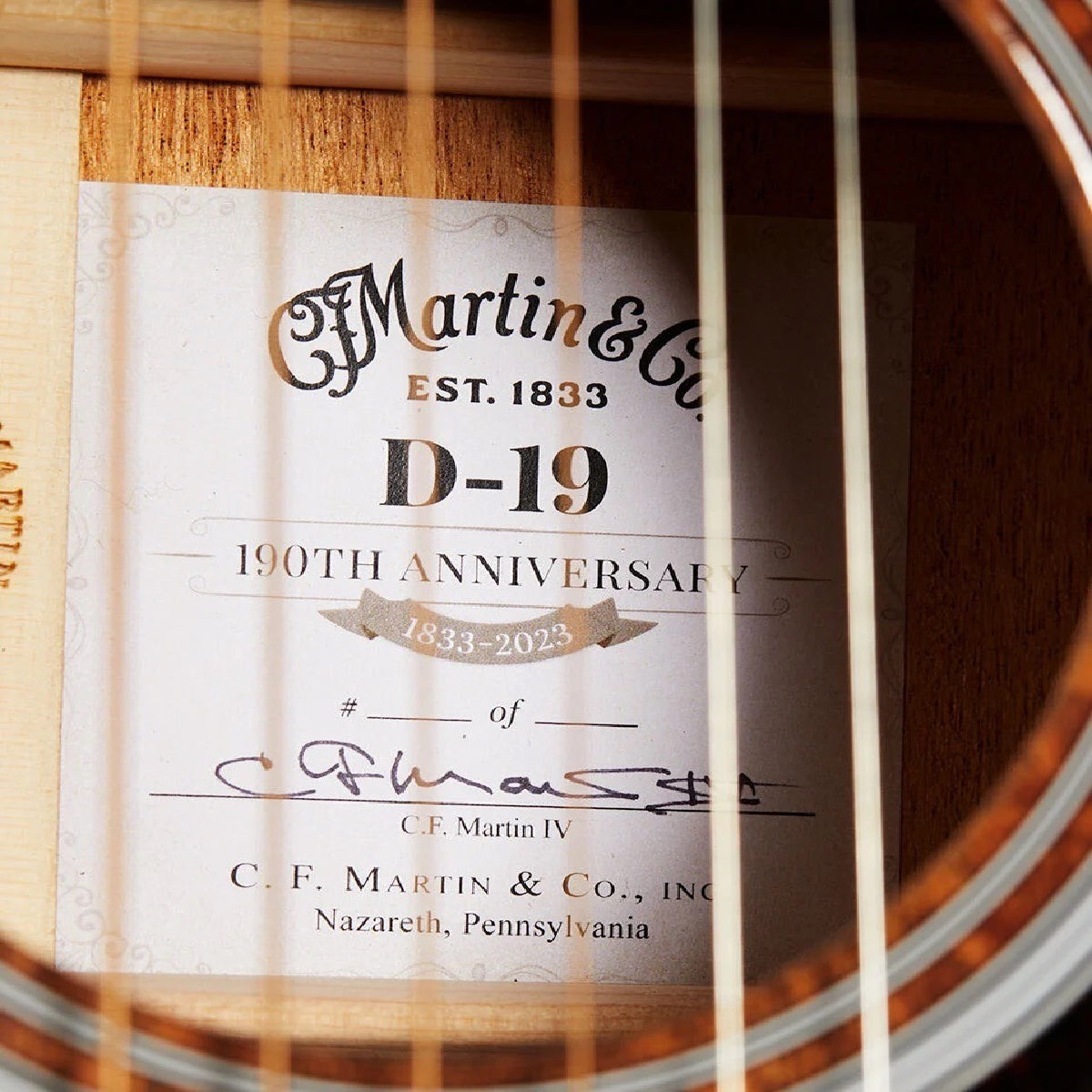 Đàn Guitar Acoustic Martin D-19 190th Anniversary - Custom & Special Editions, w/Case - Việt Music