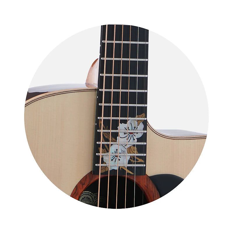 Đàn Guitar Acoustic Merida Extrema Winter GS - Việt Music