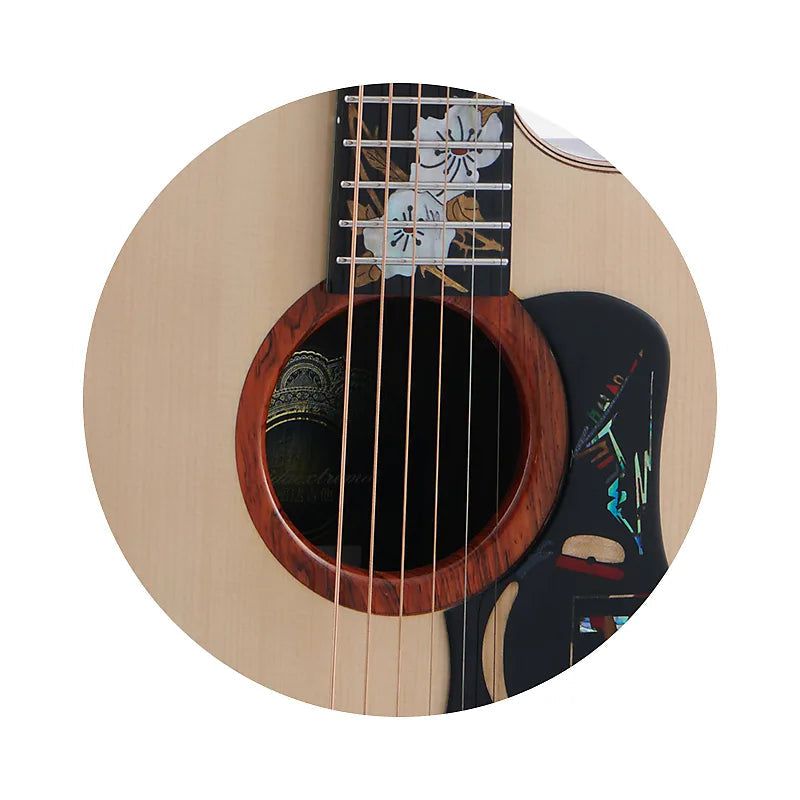 Đàn Guitar Acoustic Merida Extrema Winter GS - Việt Music