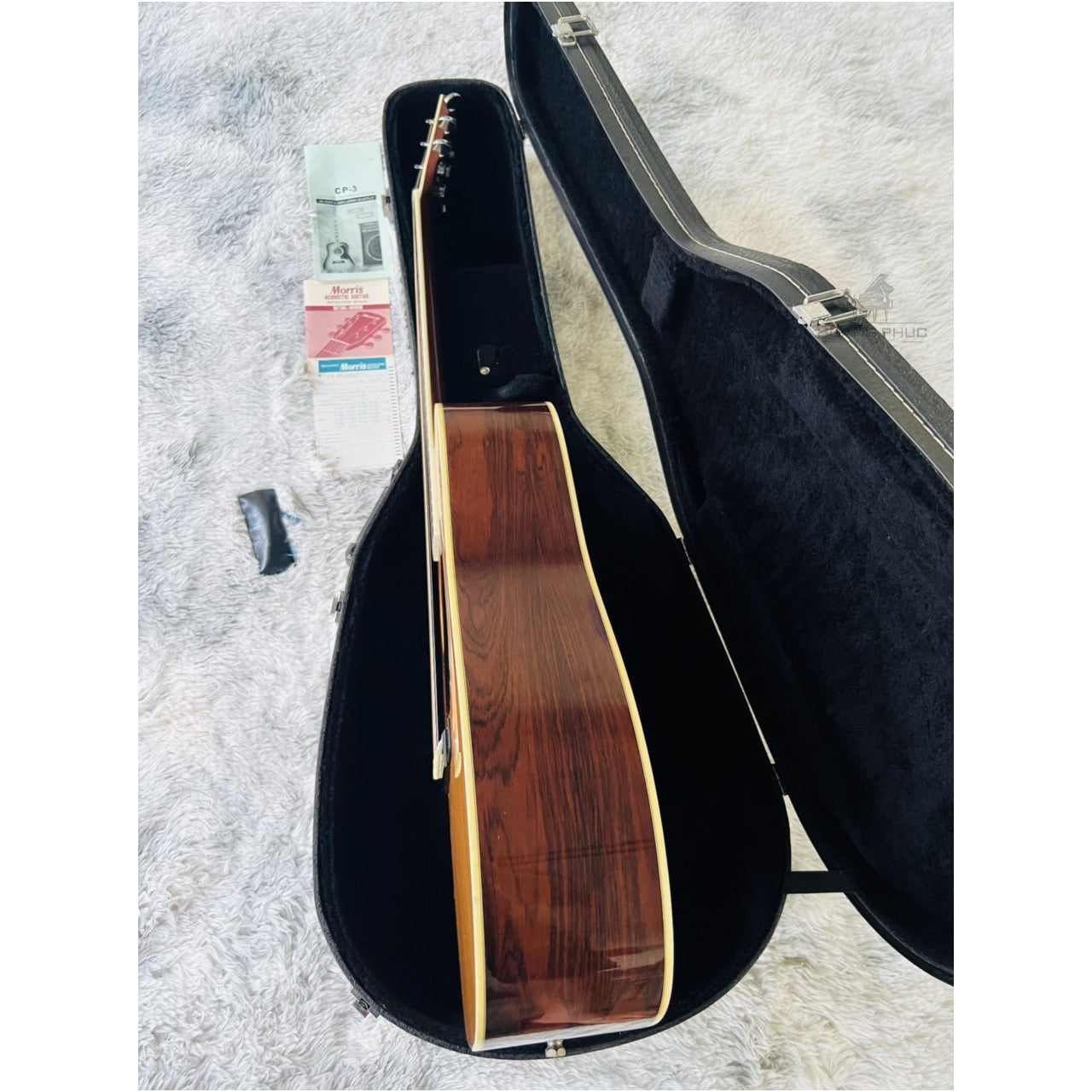 Đàn Guitar Acoustic Morris M50 - Qua Sử Dụng - Việt Music