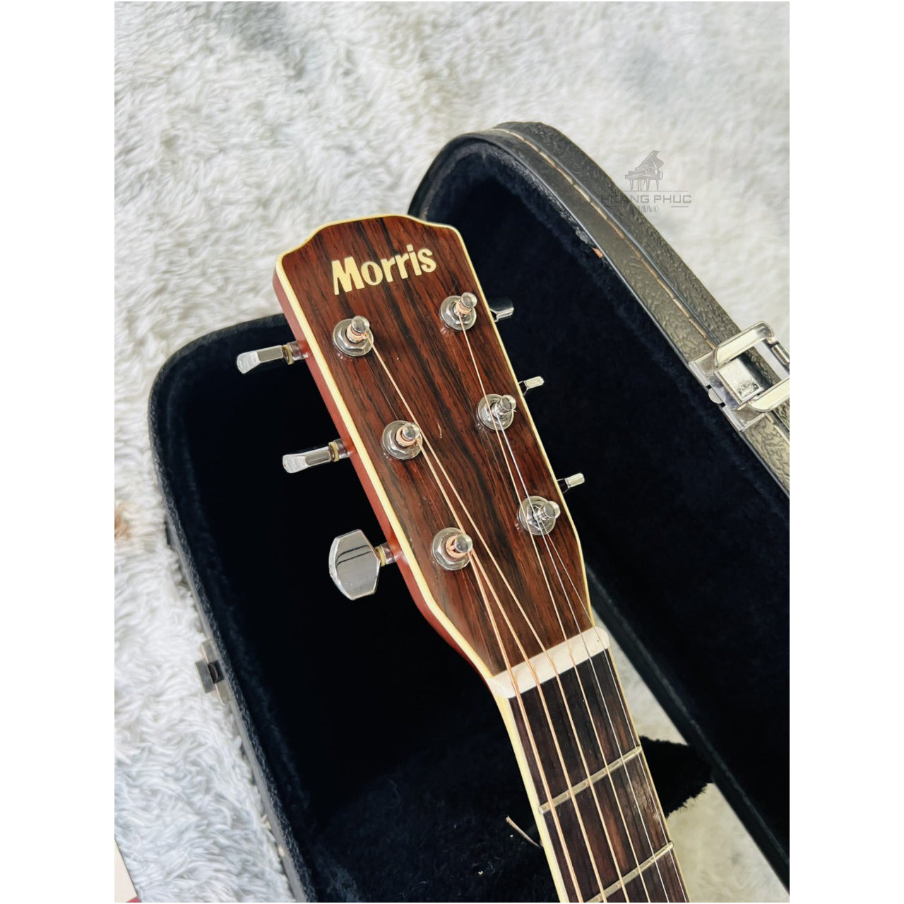 Đàn Guitar Acoustic Morris M50 - Qua Sử Dụng - Việt Music