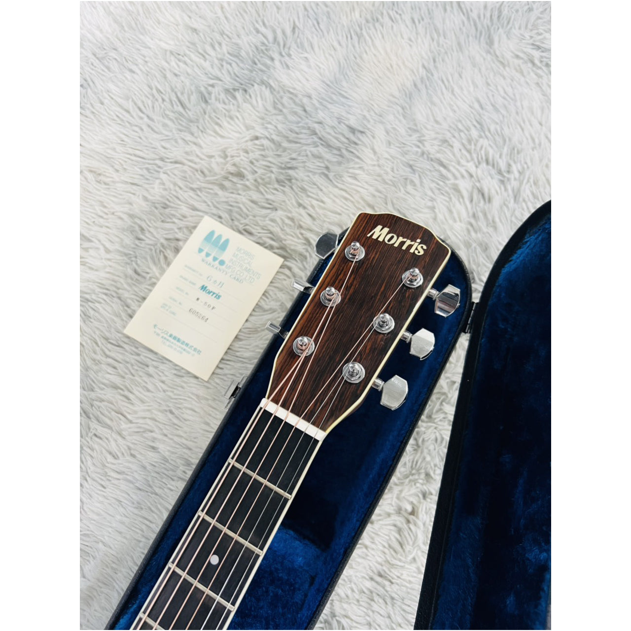 Đàn Guitar Acoustic Morris M50F - Qua Sử Dụng - Việt Music