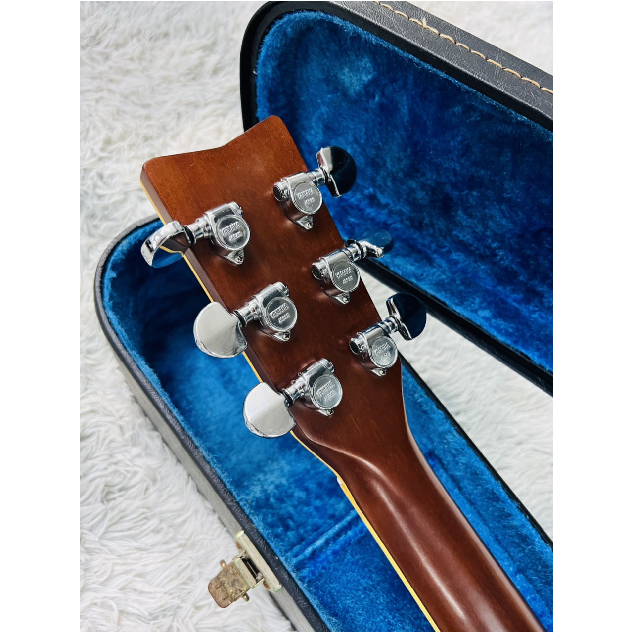 Đàn Guitar Acoustic Morris MD525 - Qua Sử Dụng - Việt Music