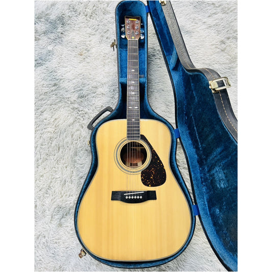 Đàn Guitar Acoustic Morris MD525 - Qua Sử Dụng - Việt Music