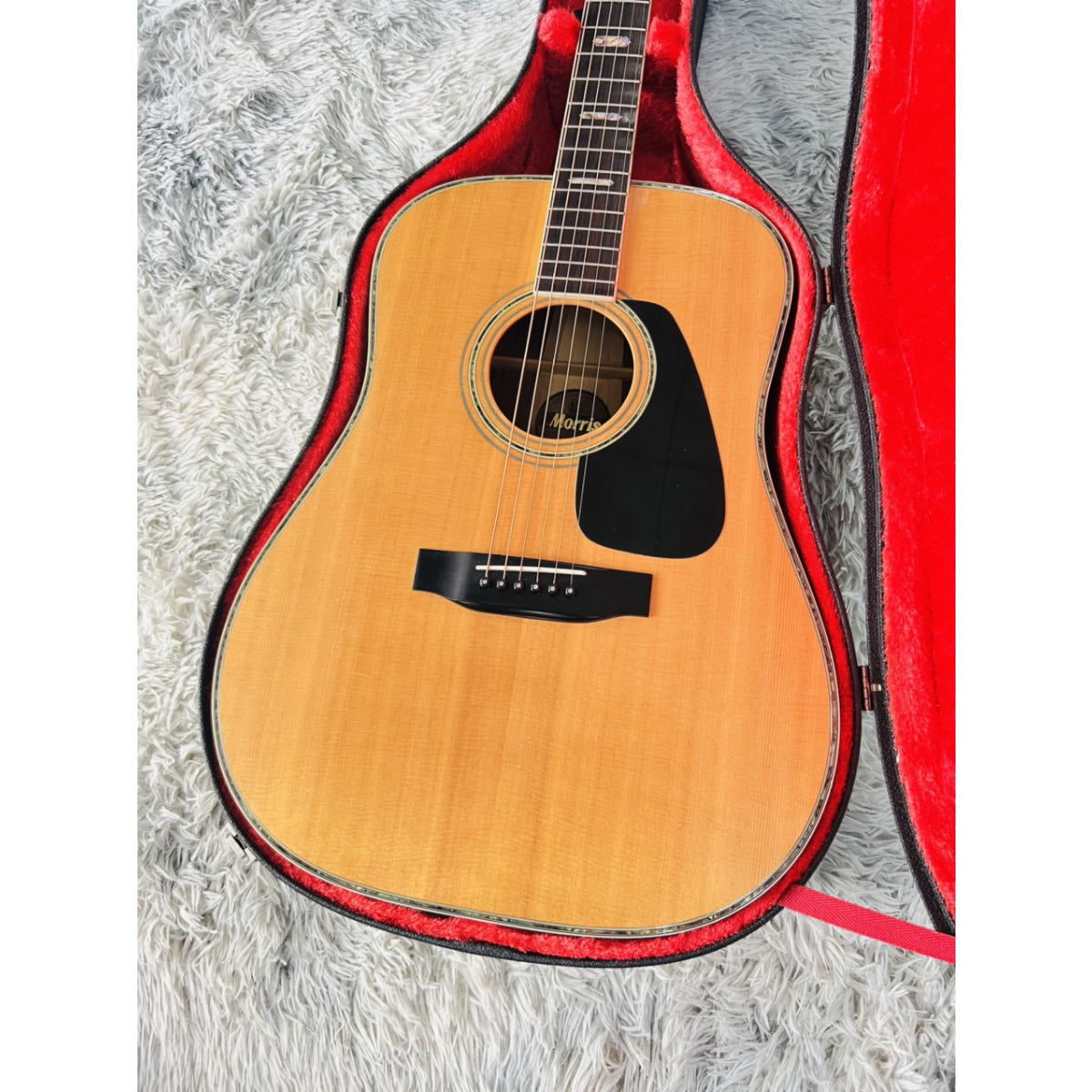 Đàn Guitar Acoustic Morris TF801 - Qua Sử Dụng - Việt Music