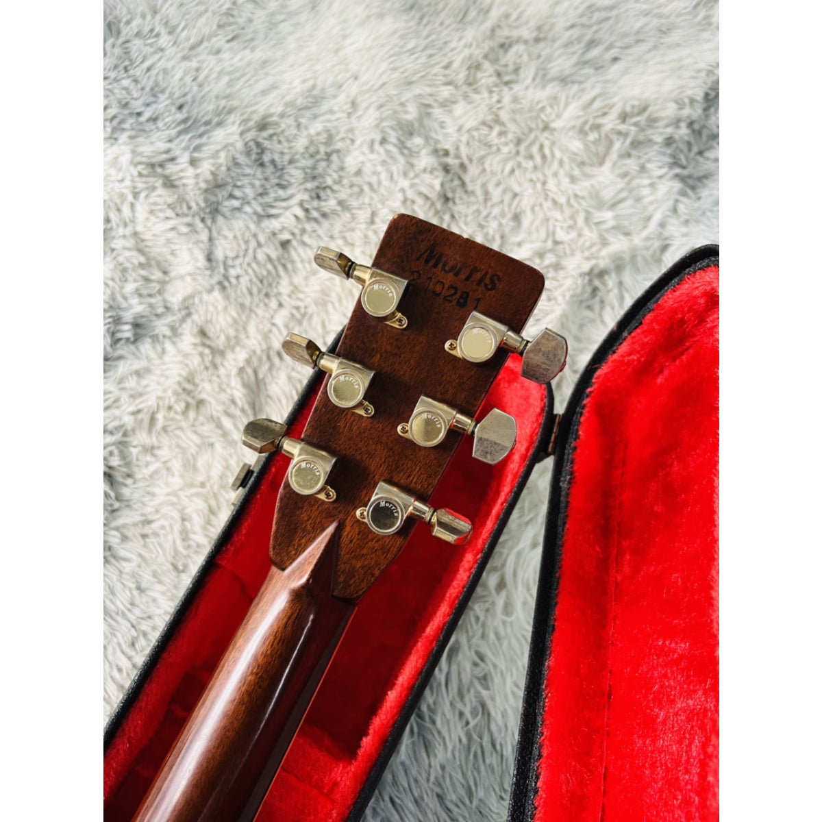 Đàn Guitar Acoustic Morris TF801 - Qua Sử Dụng - Việt Music