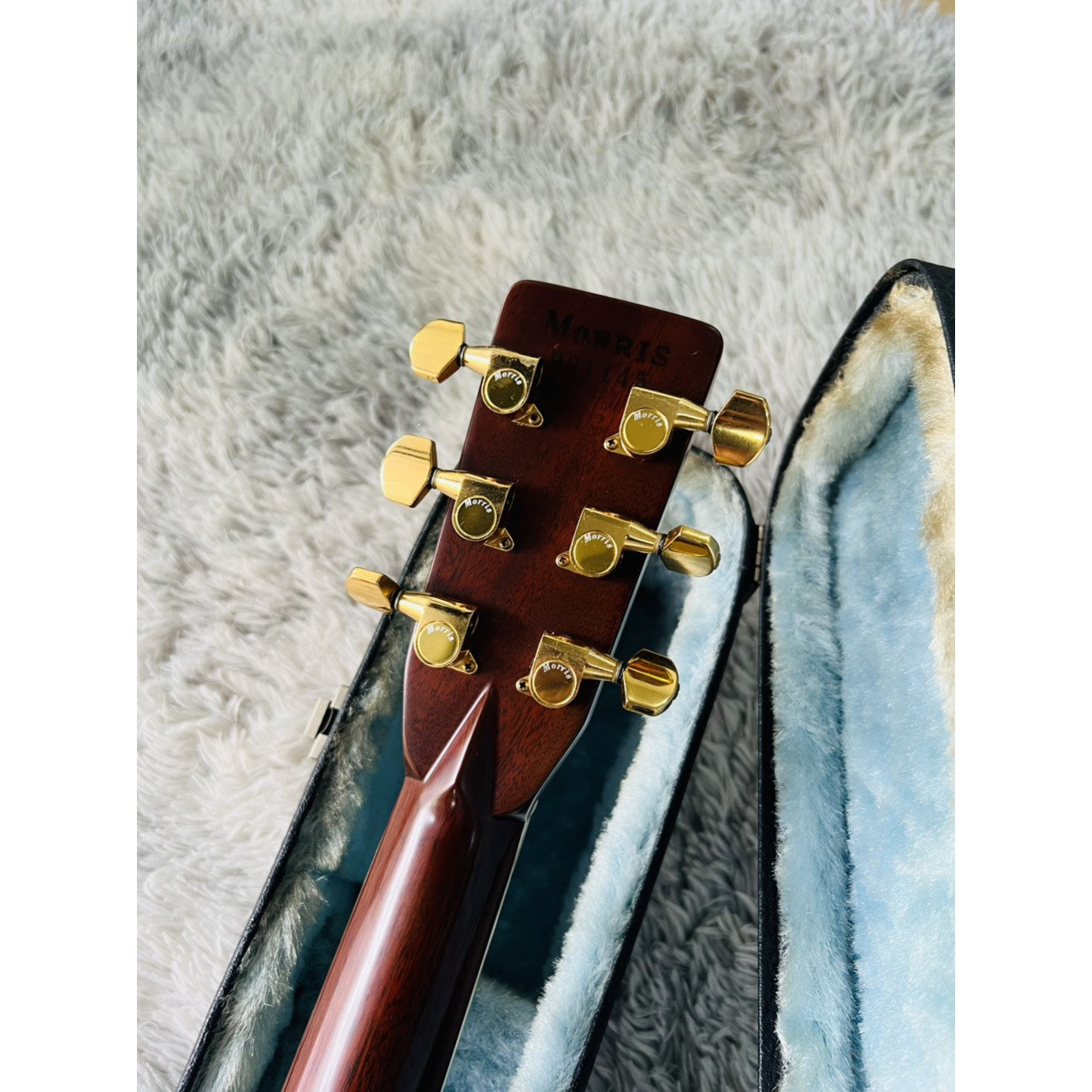 Đàn Guitar Acoustic Morris W100 - Qua Sử Dụng - Việt Music