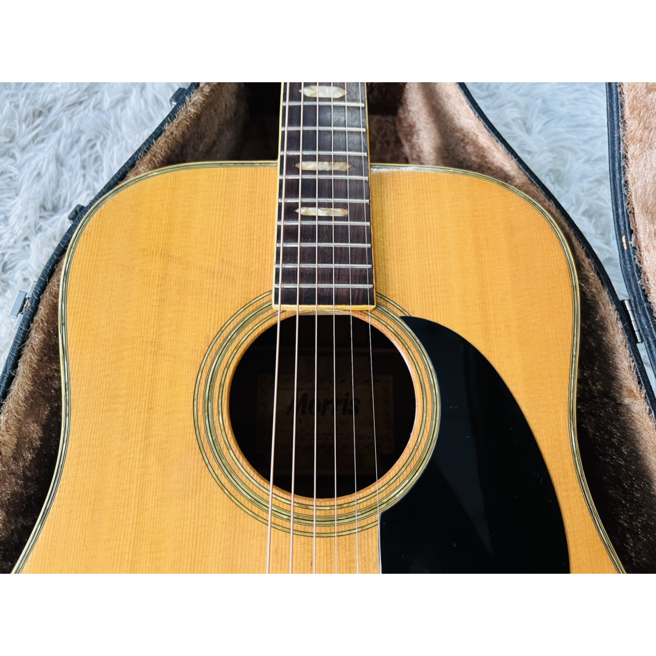 Đàn Guitar Acoustic Morris W40 1973 - Qua Sử Dụng - Việt Music