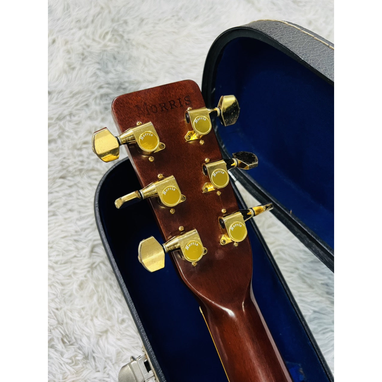 Đàn Guitar Acoustic Morris W40 1974 - Qua Sử Dụng - Việt Music