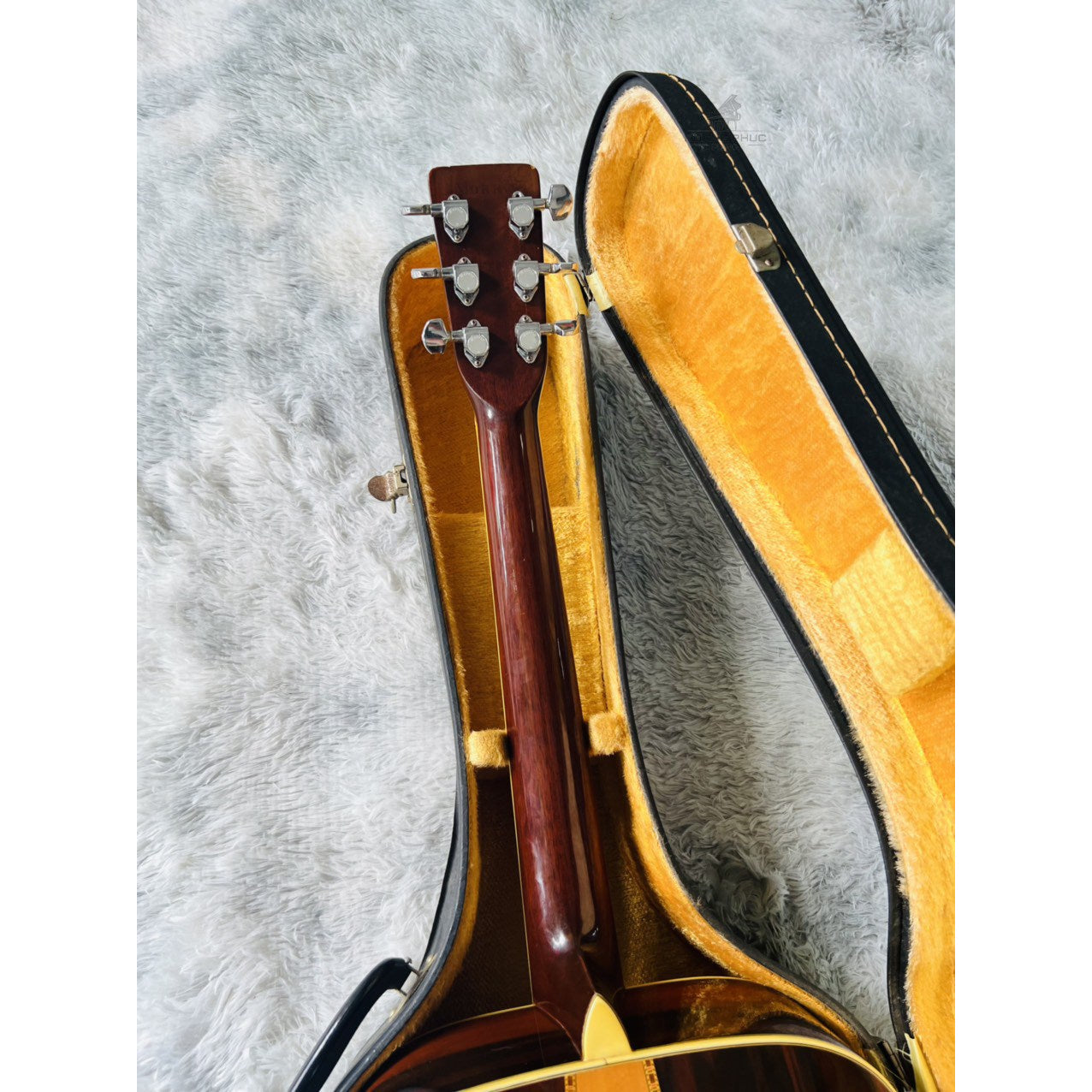 Đàn Guitar Acoustic Morris W40 1975 - Qua Sử Dụng - Việt Music