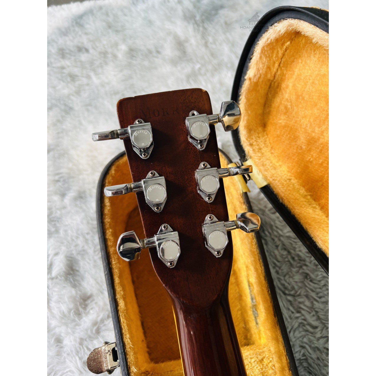 Đàn Guitar Acoustic Morris W40 1975 - Qua Sử Dụng - Việt Music