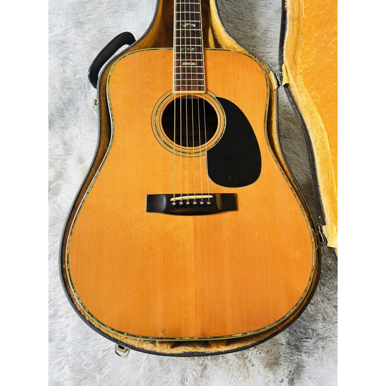 Đàn Guitar Acoustic Morris W40 1975 - Qua Sử Dụng - Việt Music