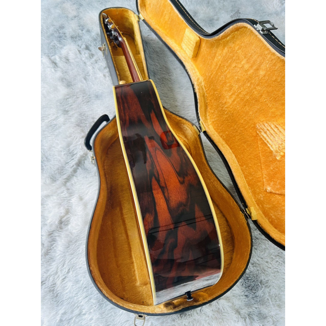 Đàn Guitar Acoustic Morris W40 1975 - Qua Sử Dụng - Việt Music