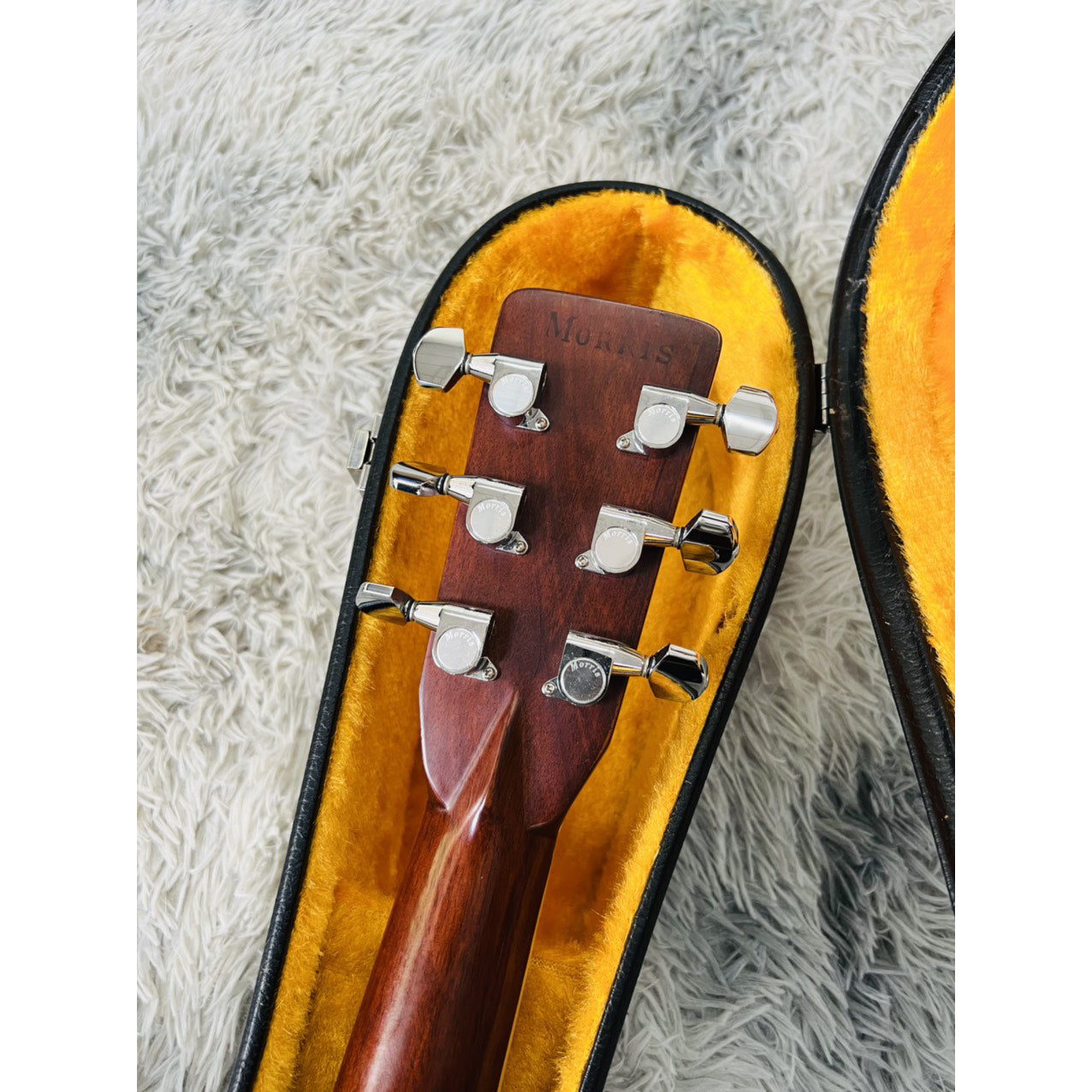 Đàn Guitar Acoustic Morris W60 - Qua Sử Dụng - Việt Music