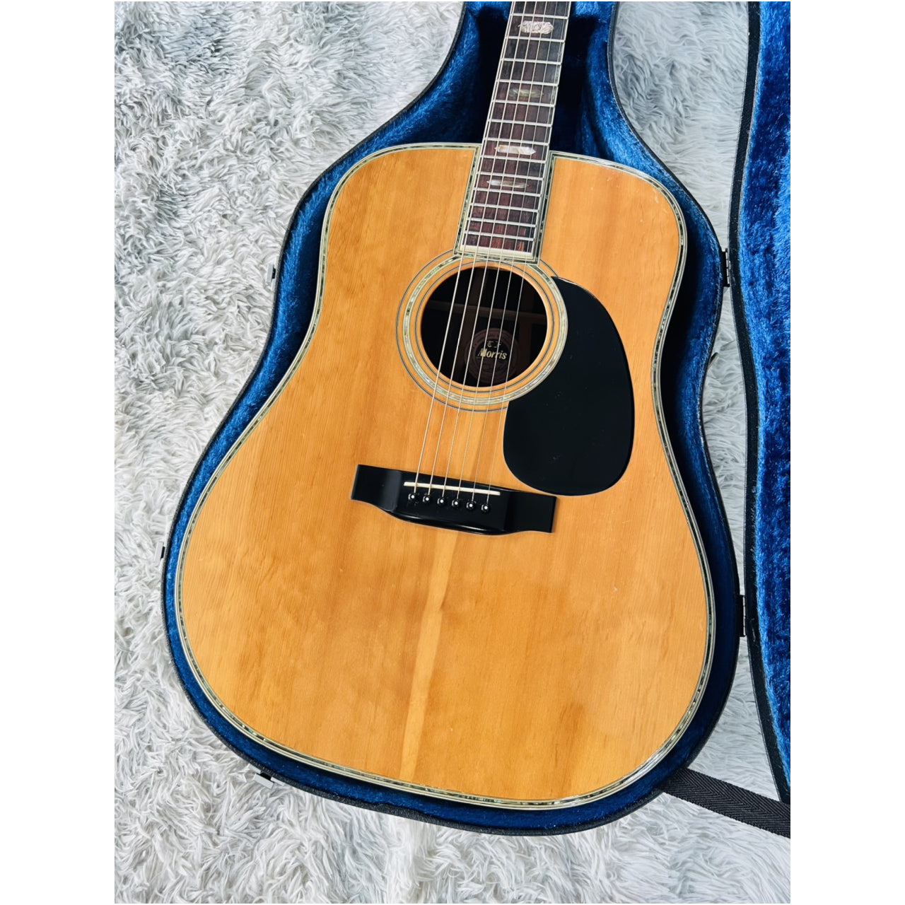 Đàn Guitar Acoustic Morris W80 1987 - Qua Sử Dụng - Việt Music