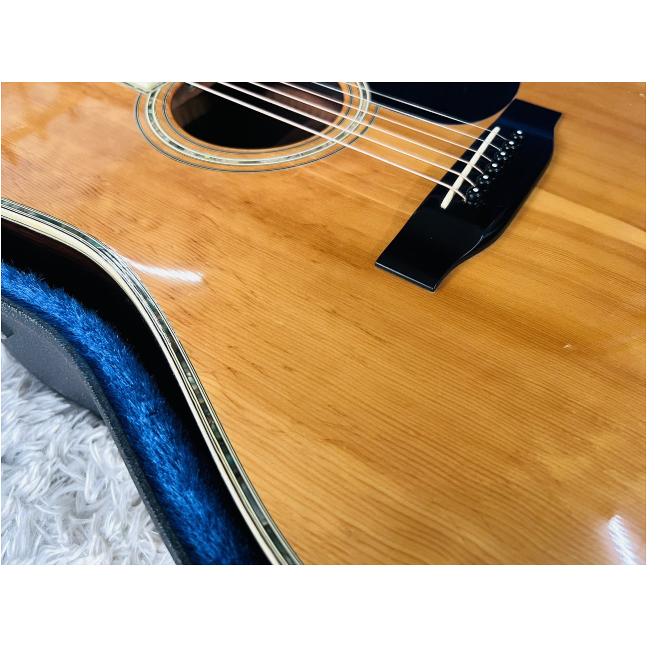 Đàn Guitar Acoustic Morris W80 1987 - Qua Sử Dụng - Việt Music